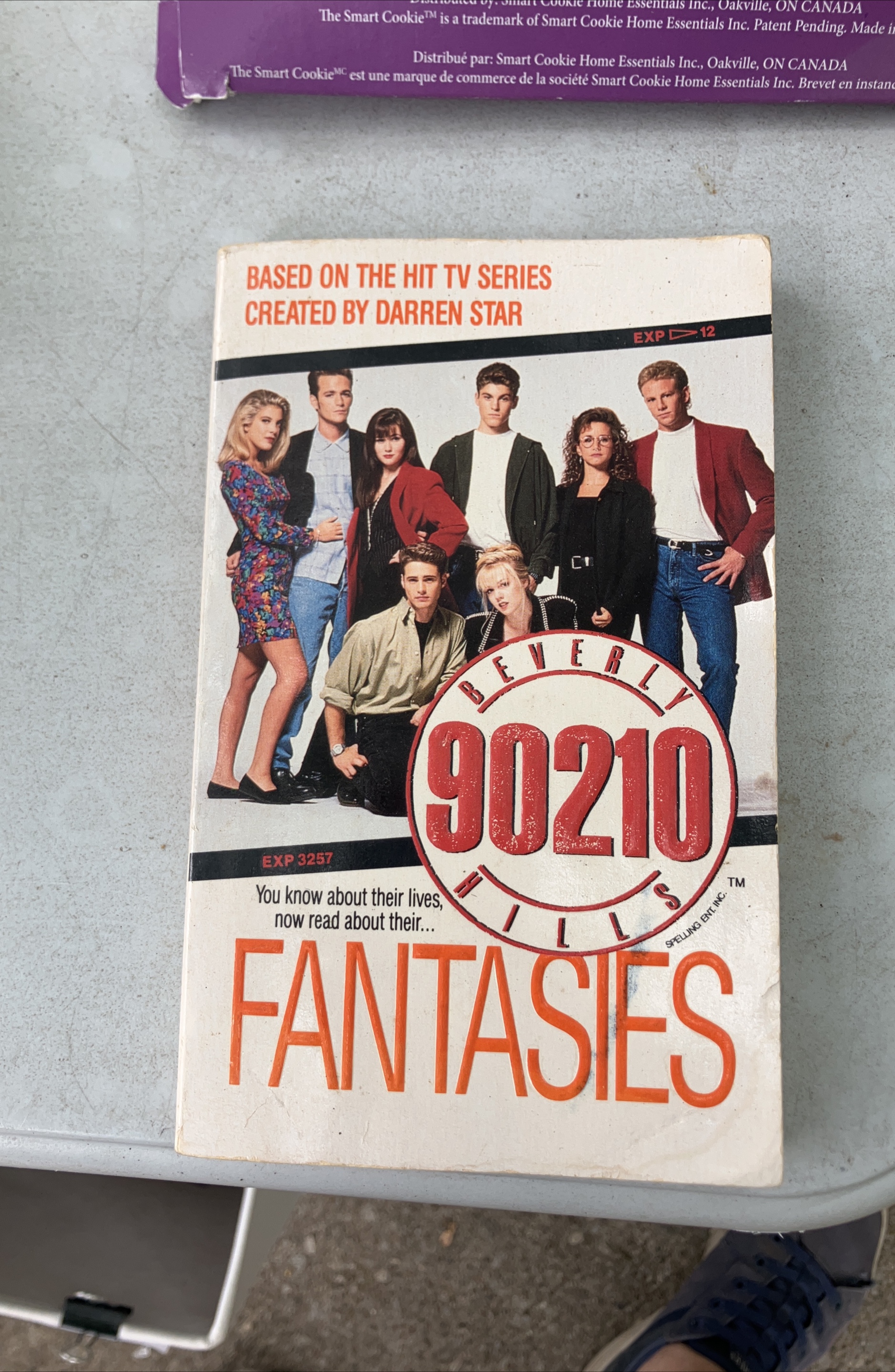 Beverly Hills 90210 Fantasies Book thumbnail