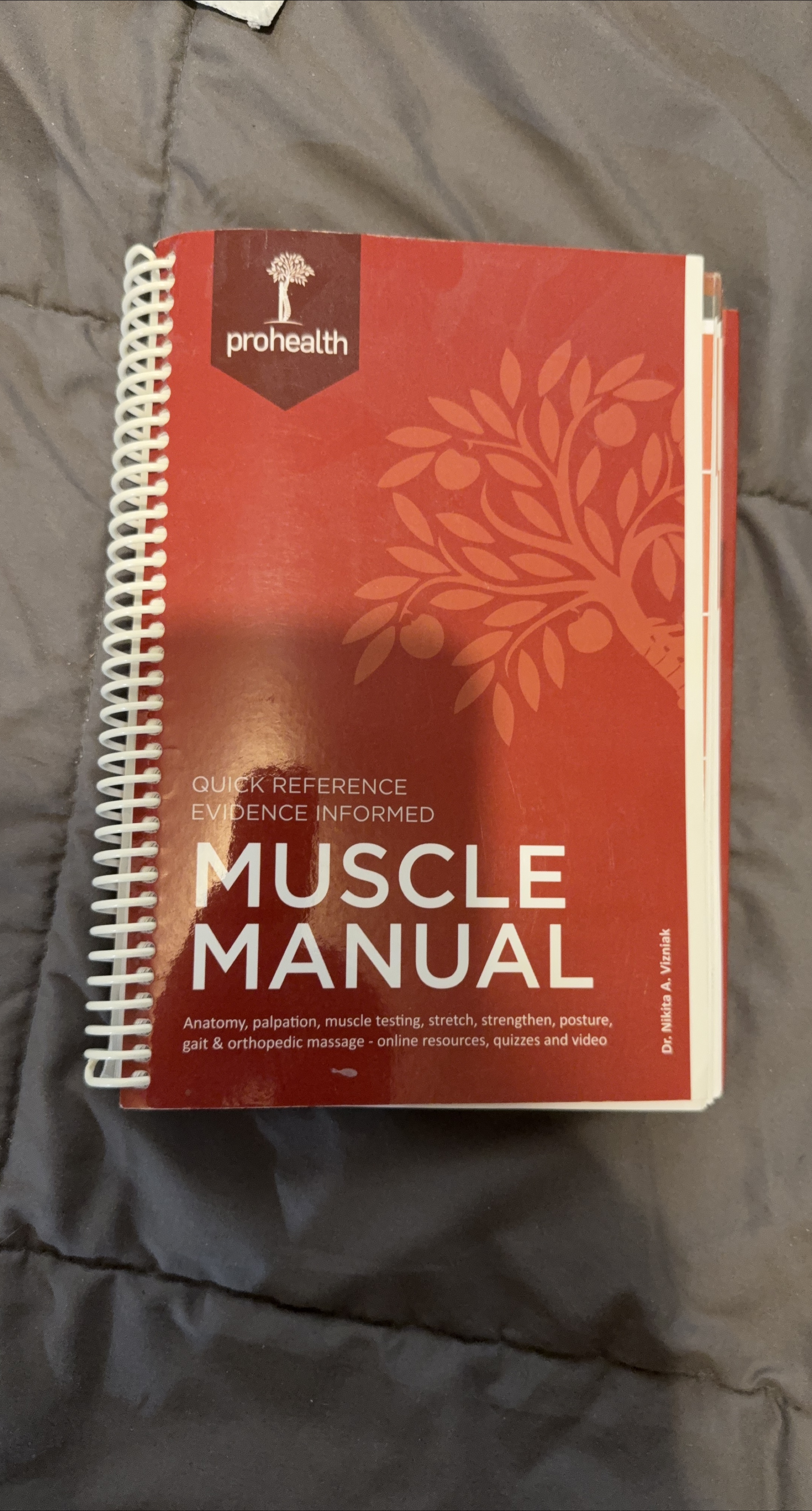 Prohealth Muscle Manual