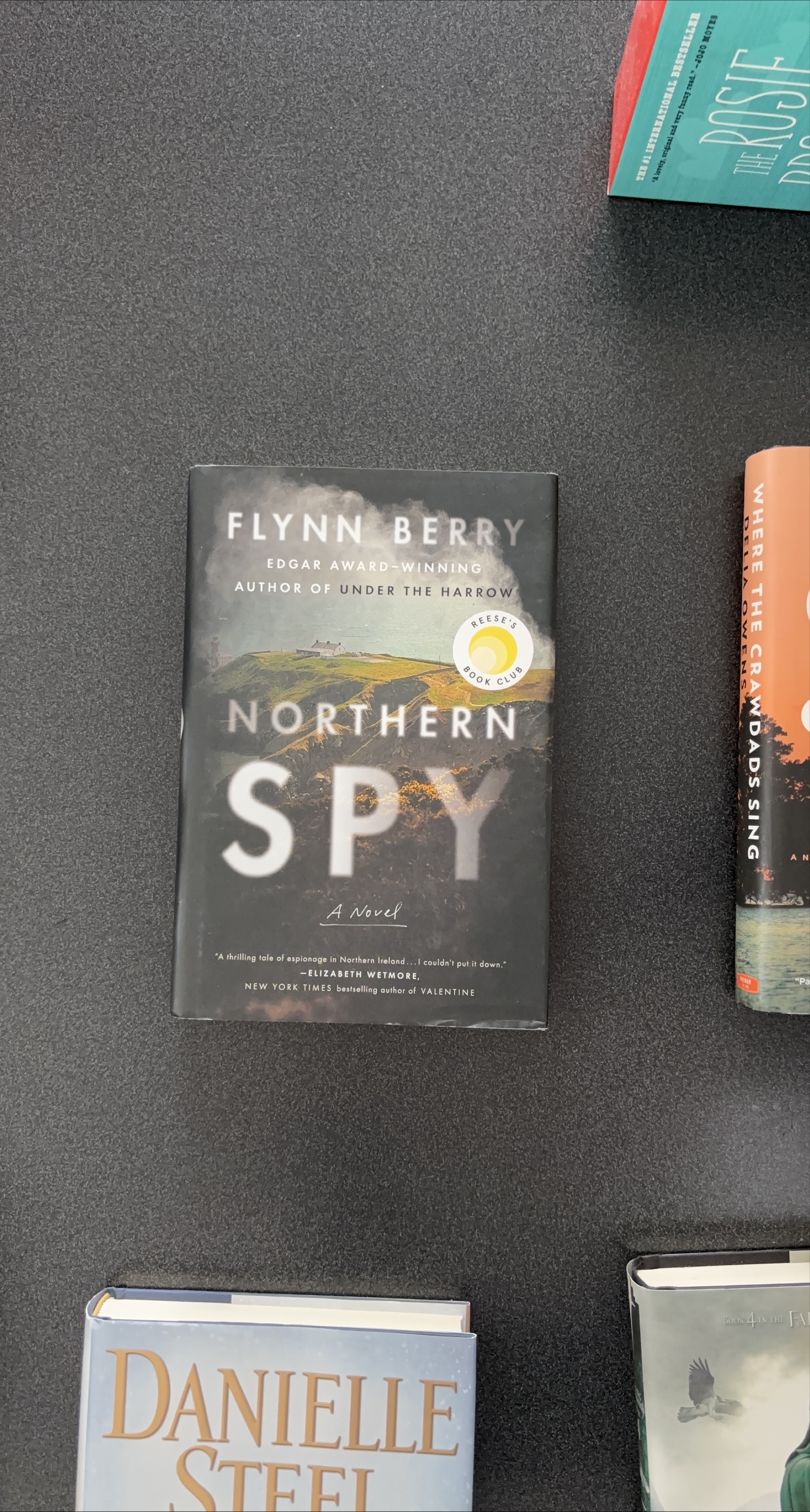 Northern Spy by Flynn Berry thumbnail