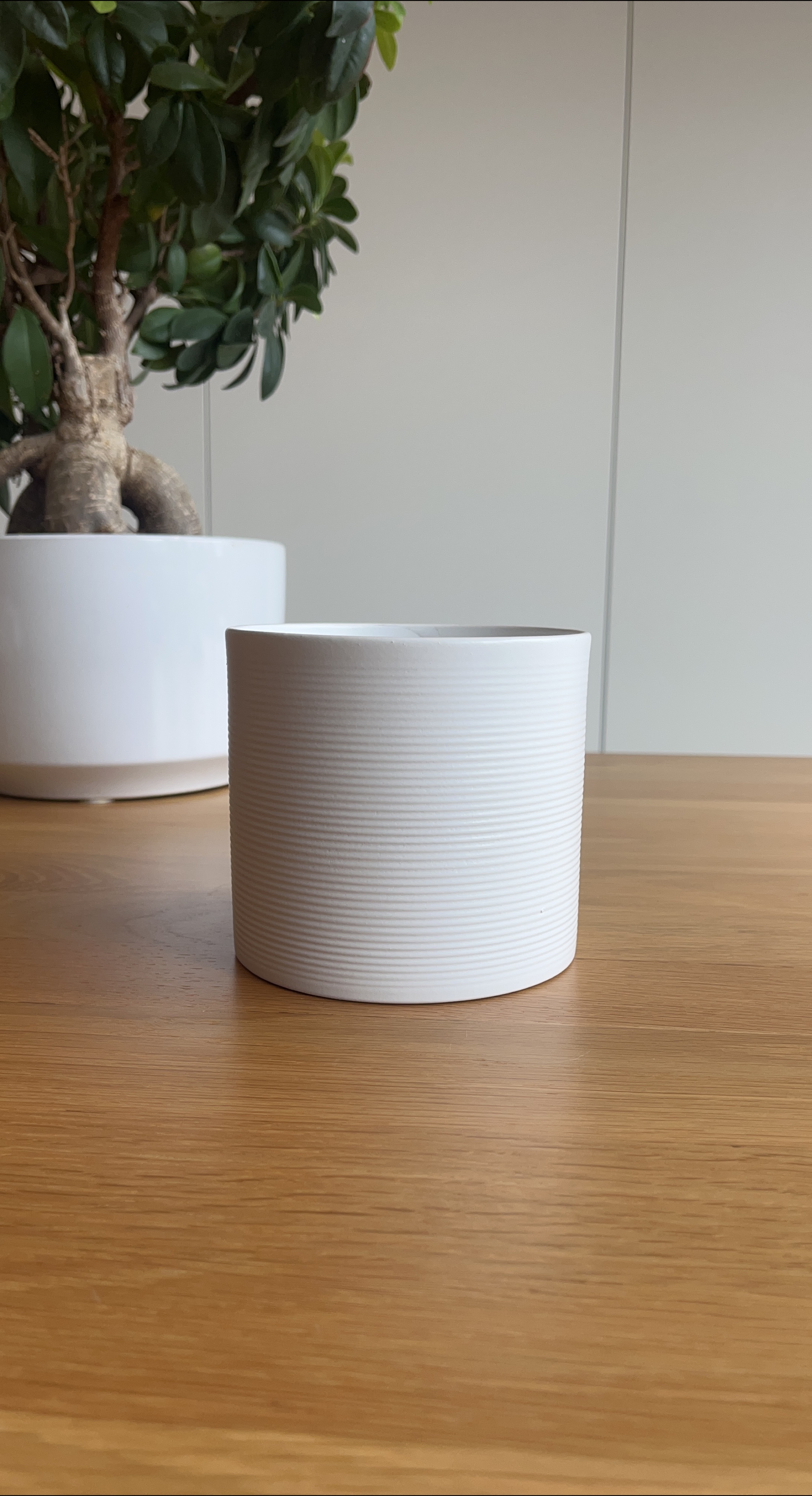 White Ceramic Plant Pot thumbnail