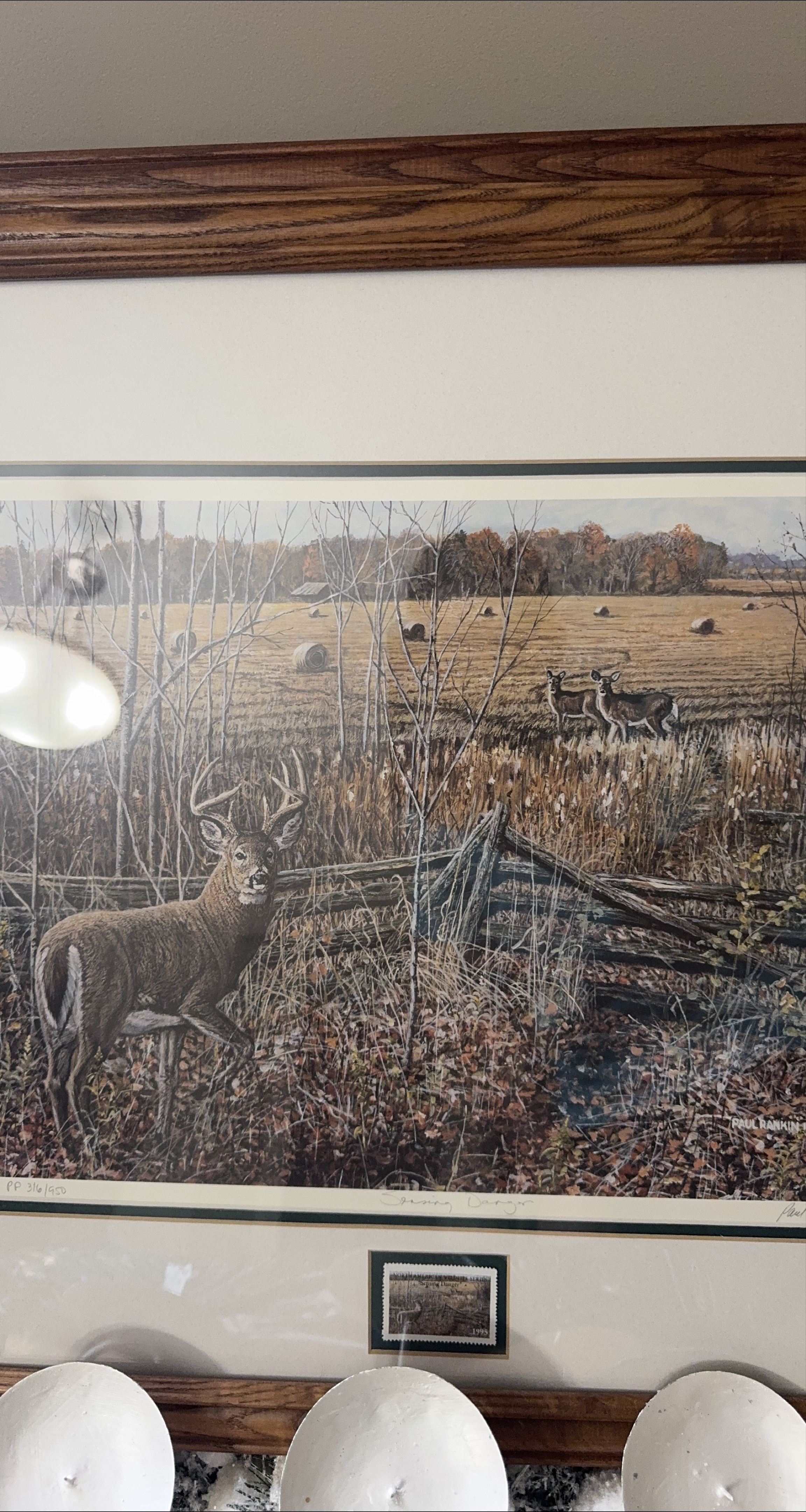 Paul Rankin 'Standing Danger' Framed Print thumbnail