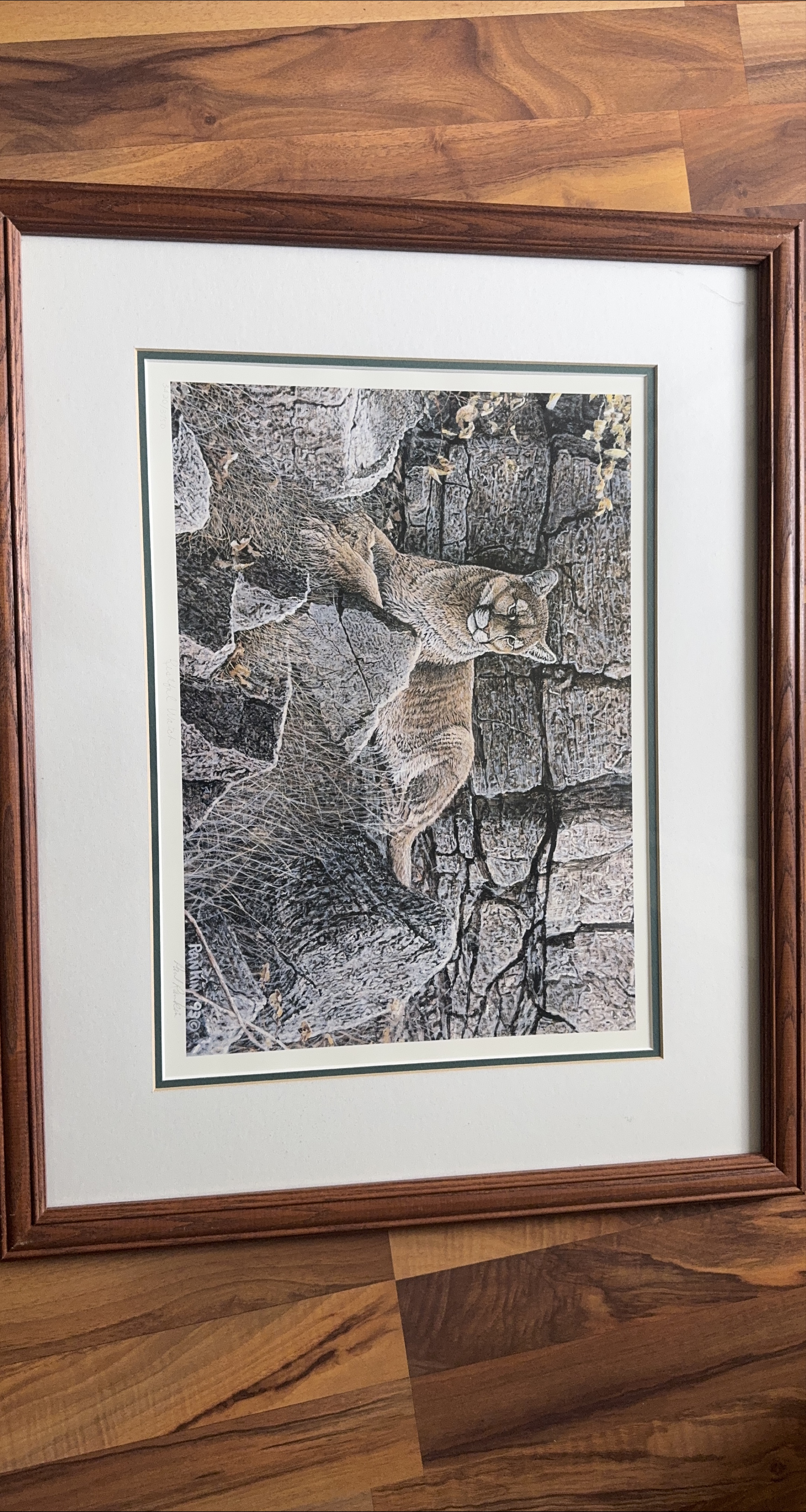 Framed Wildlife Print thumbnail