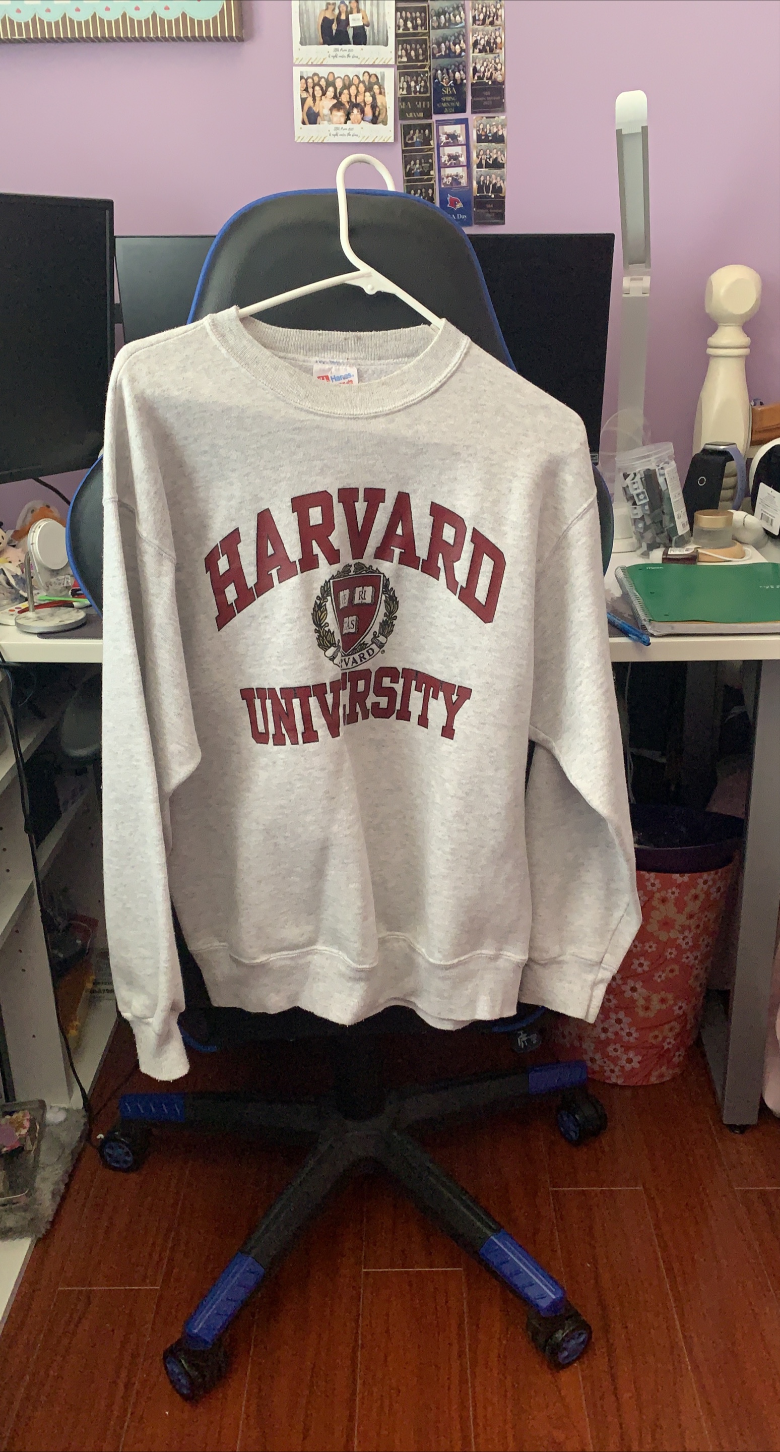 Harvard University Sweatshirt by Hanes thumbnail