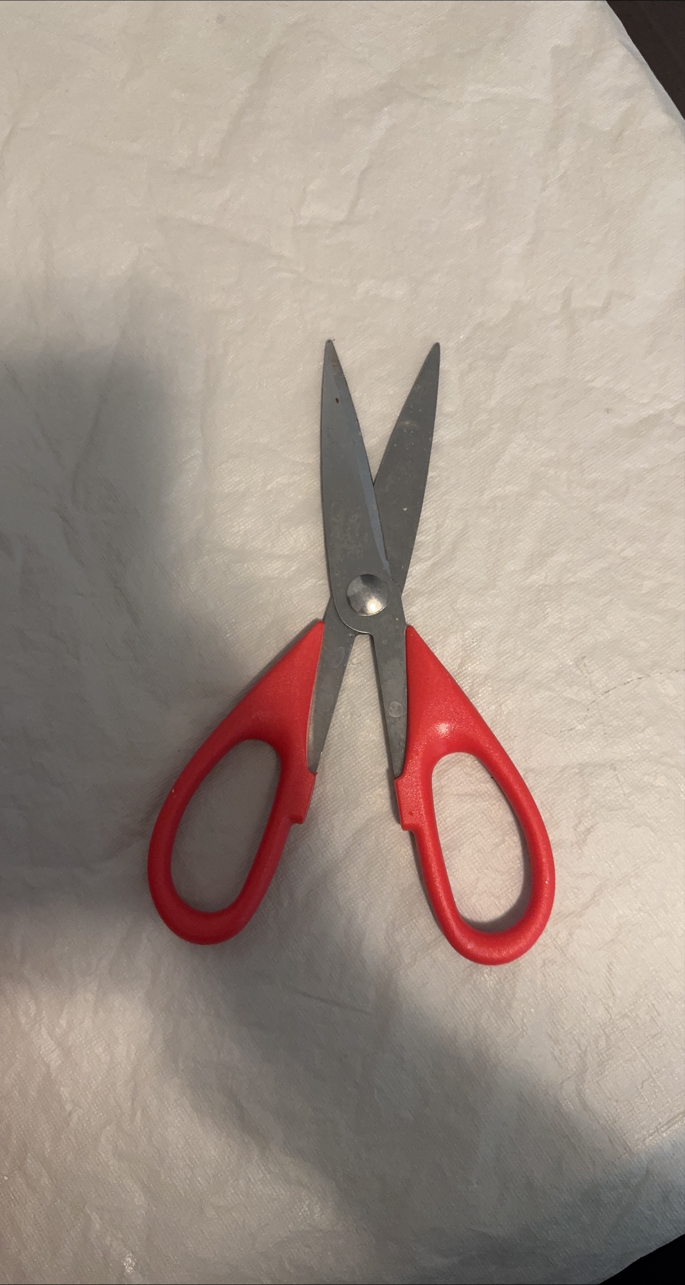 Red Handled Scissors thumbnail