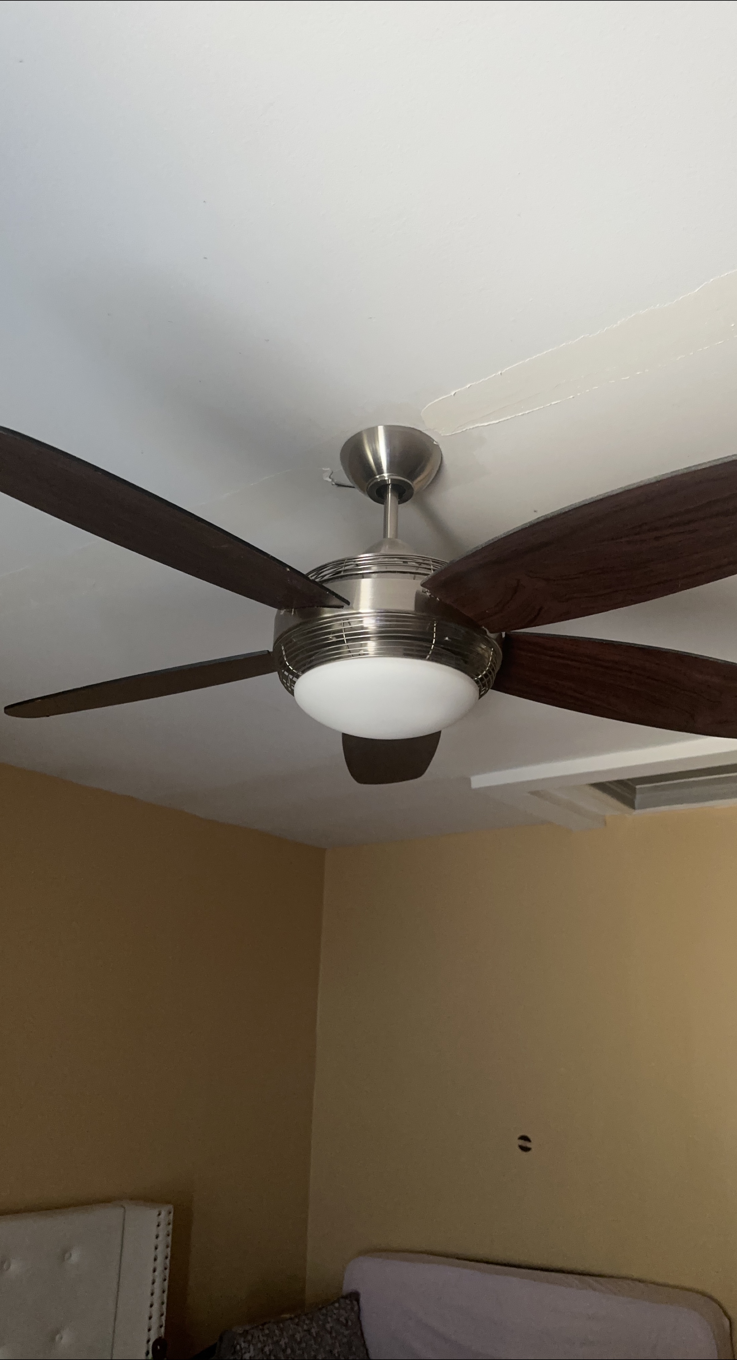Ceiling Fan with Light