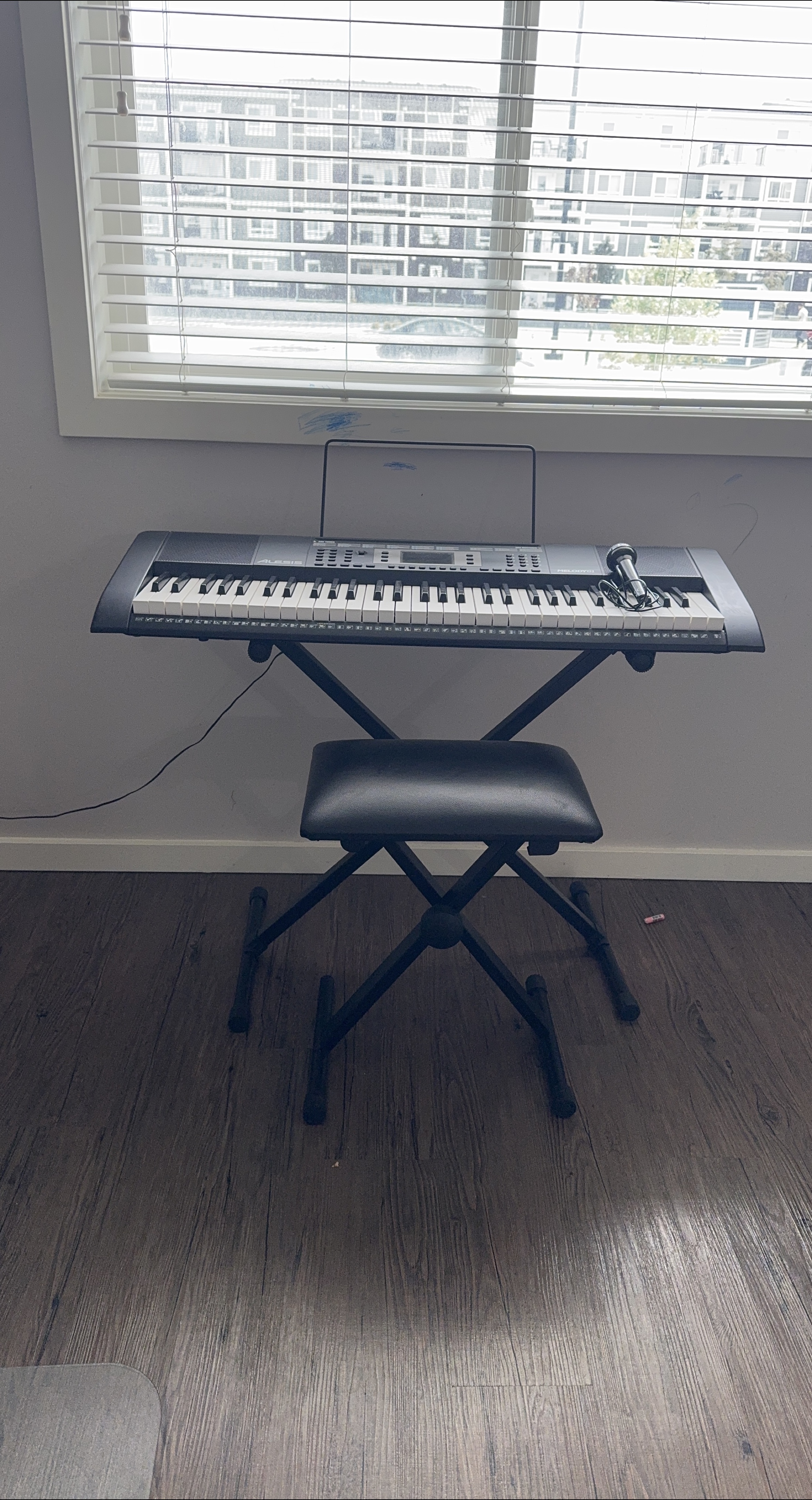 Alesis Melody 61 Keyboard with Stand & Microphone