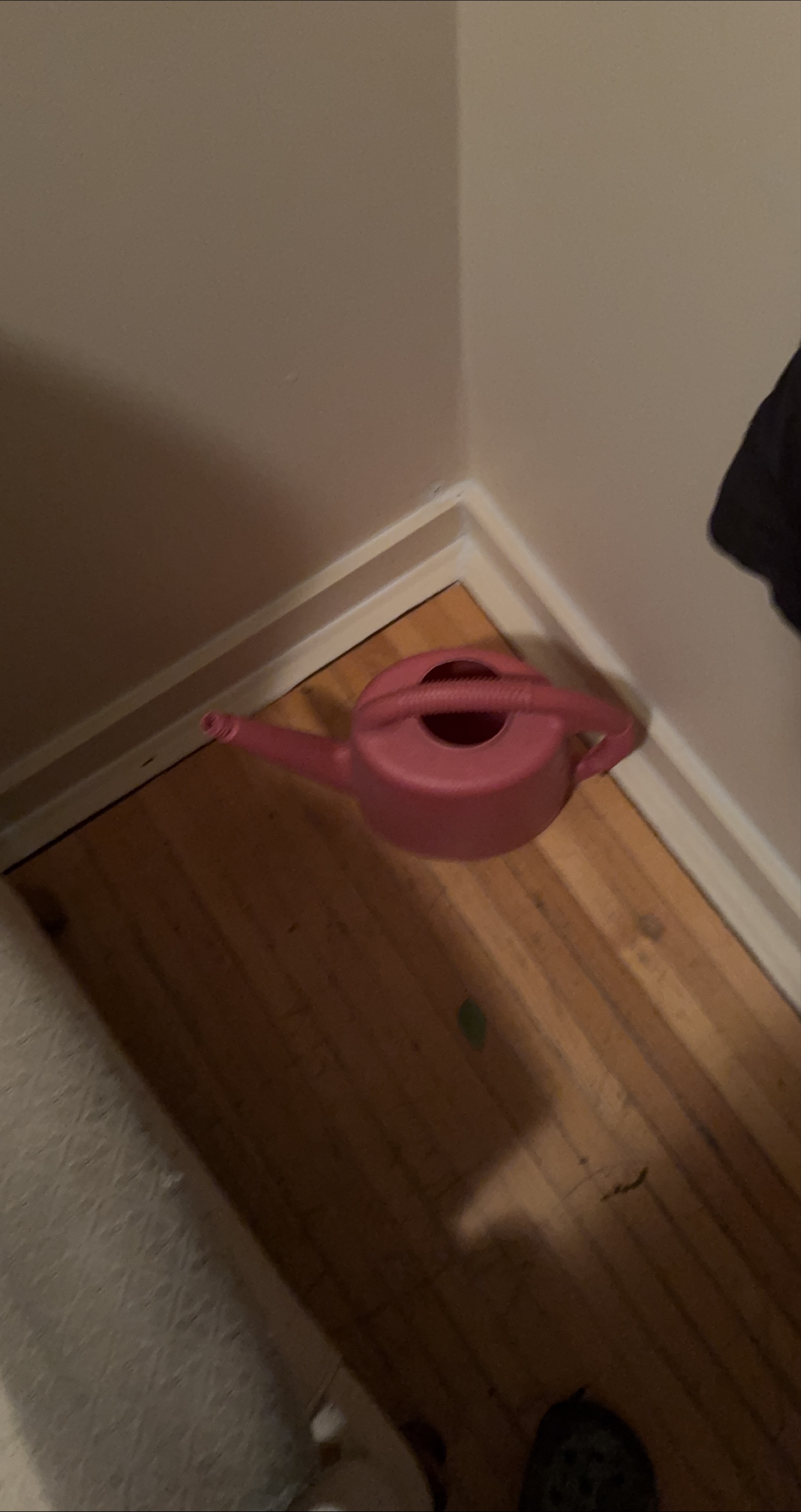 Pink Watering Can thumbnail