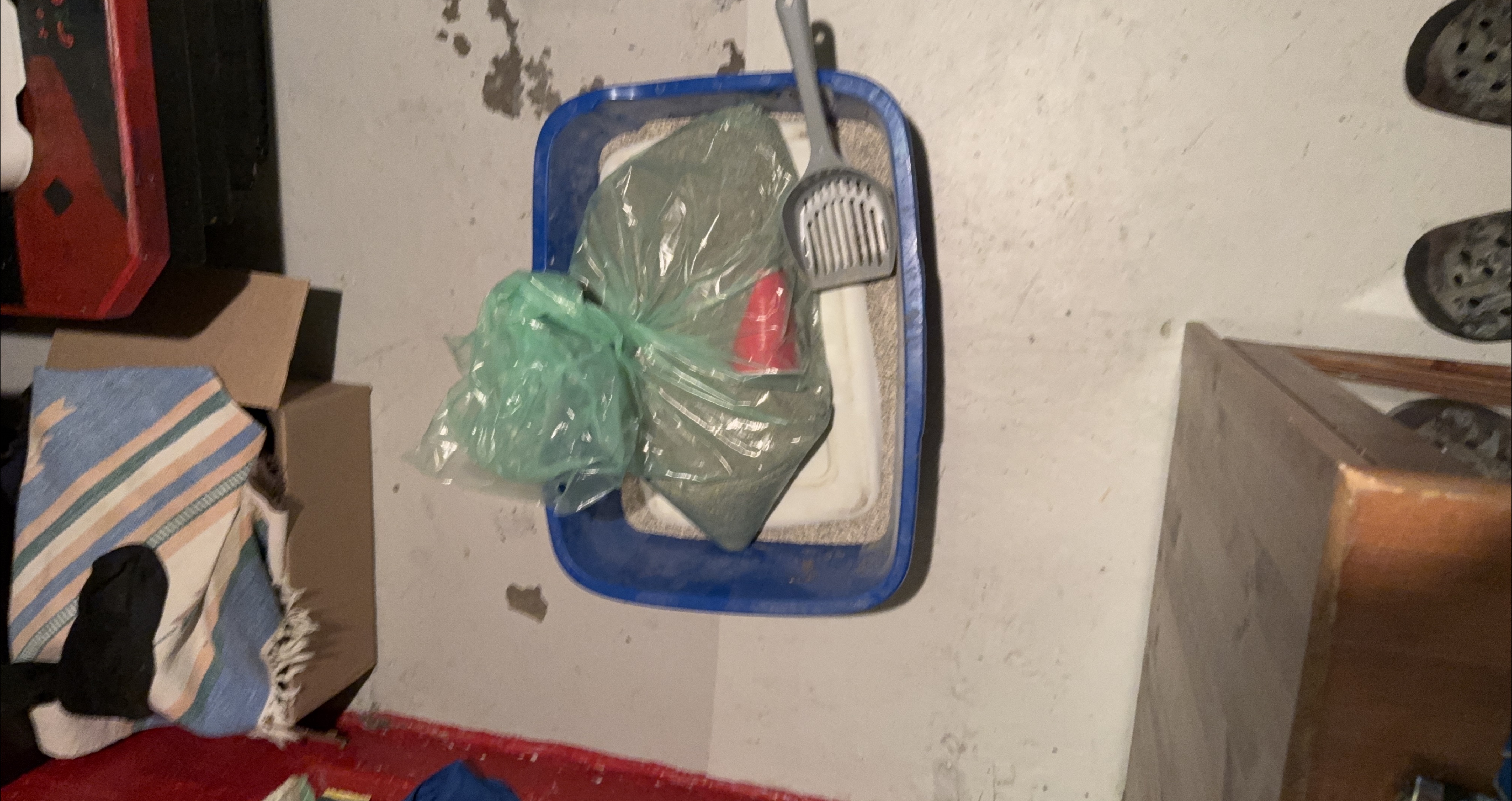Cat litter box with scoop and a half a box of cat litter thumbnail