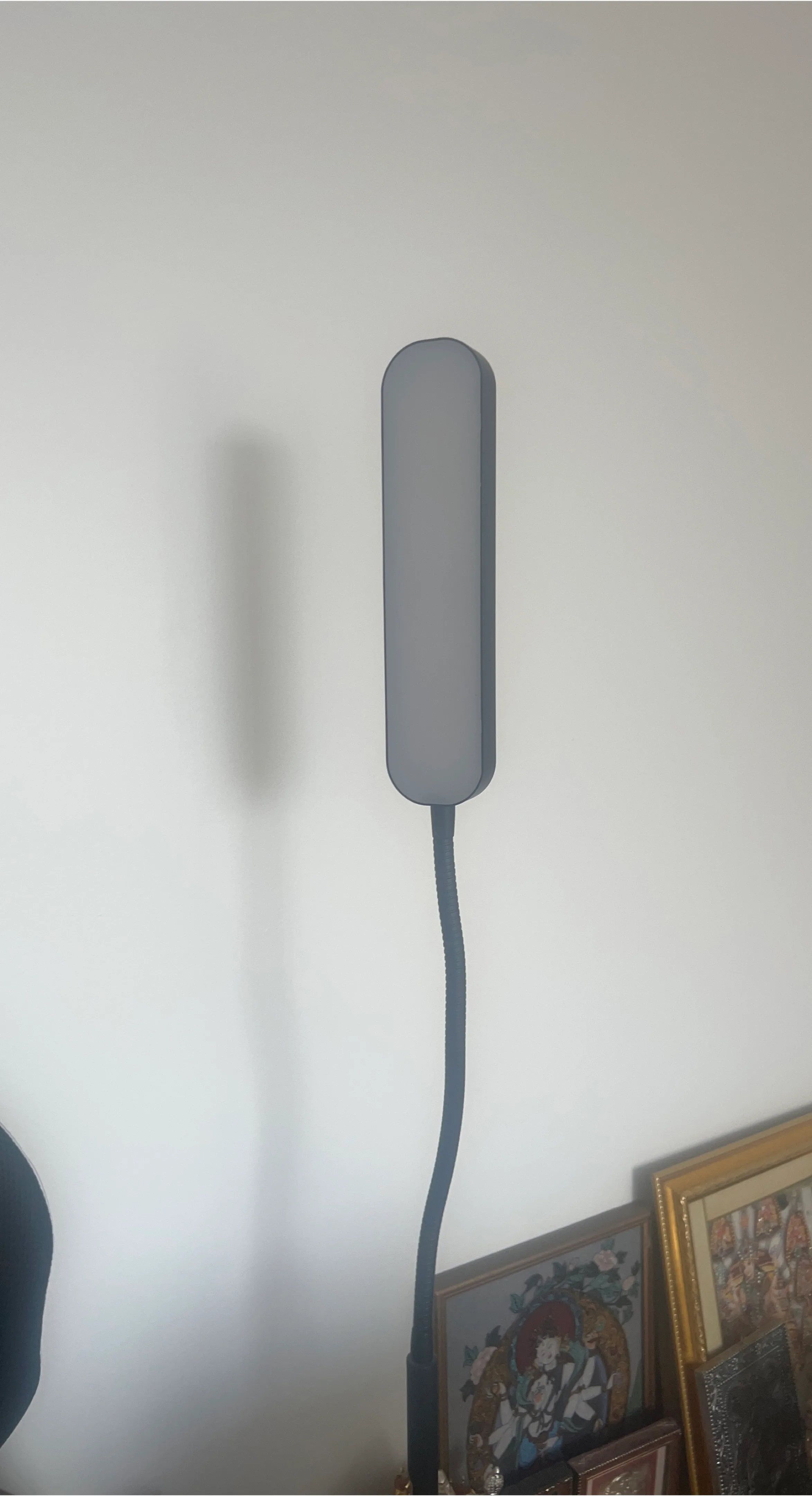 LED floor Lamp