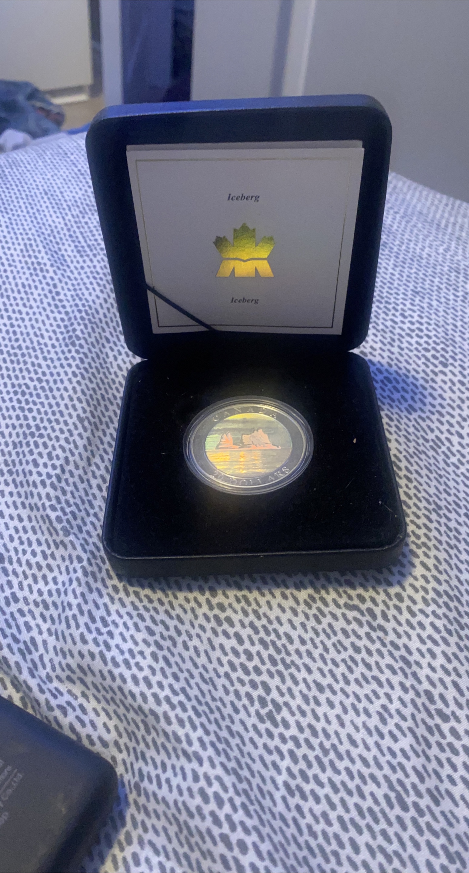 Royal Canadian Mint Iceberg $20 Coin thumbnail