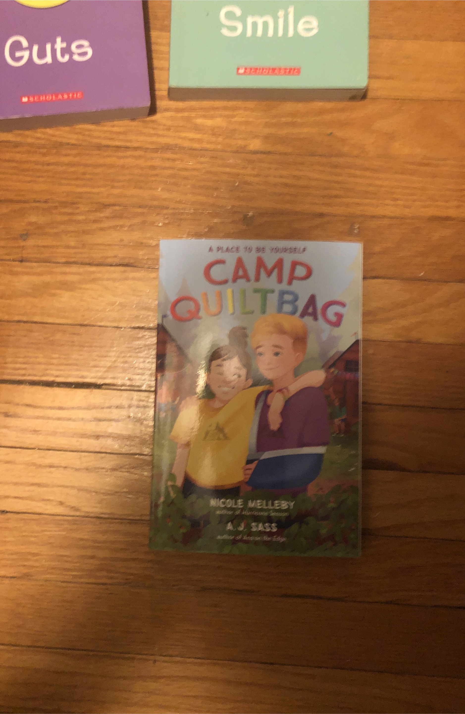 Camp Quiltbag by Nicole Melleby & A.J. Sass thumbnail