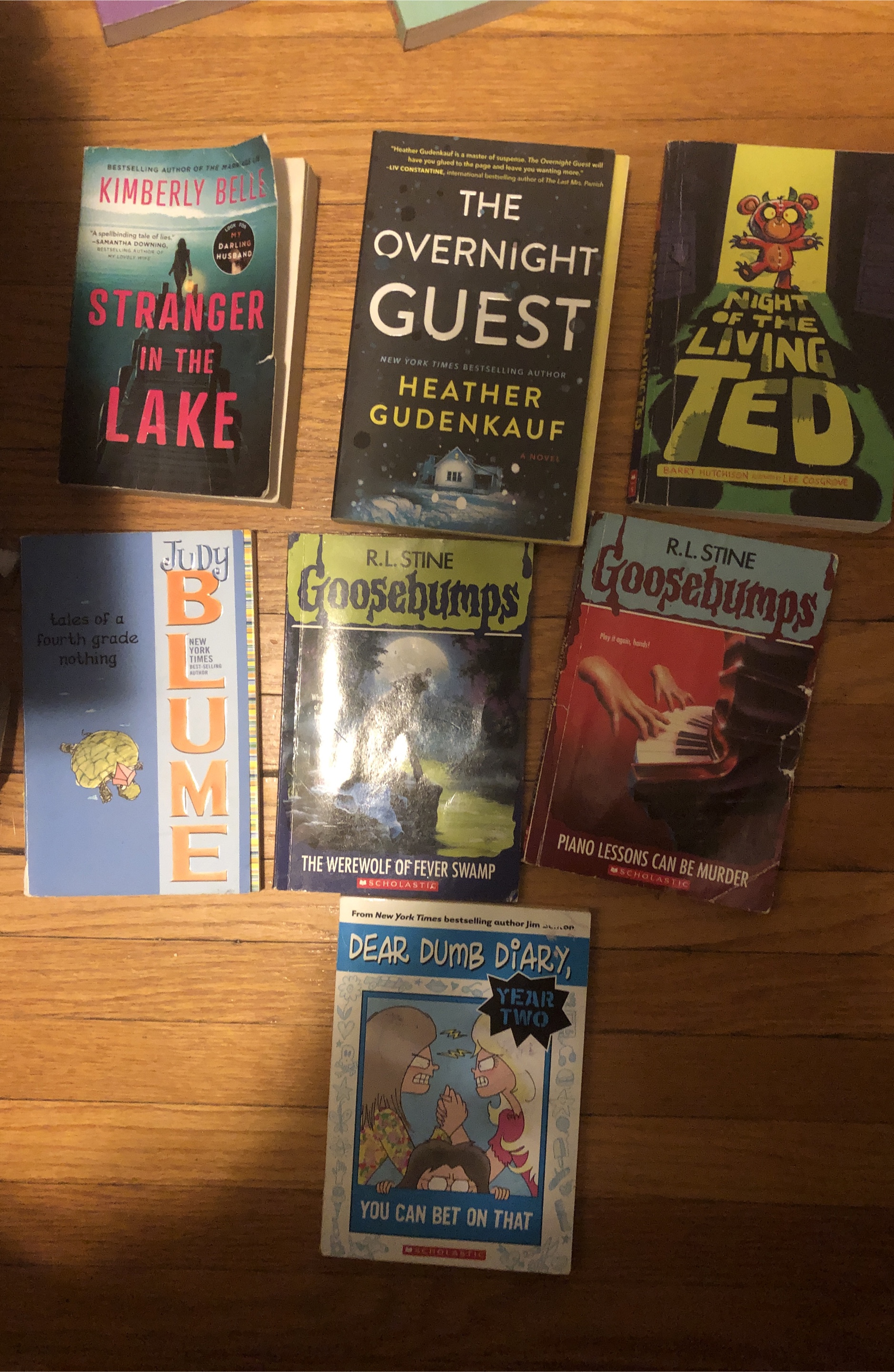 Assorted Children's Books: Goosebumps, Judy Blume & More! thumbnail