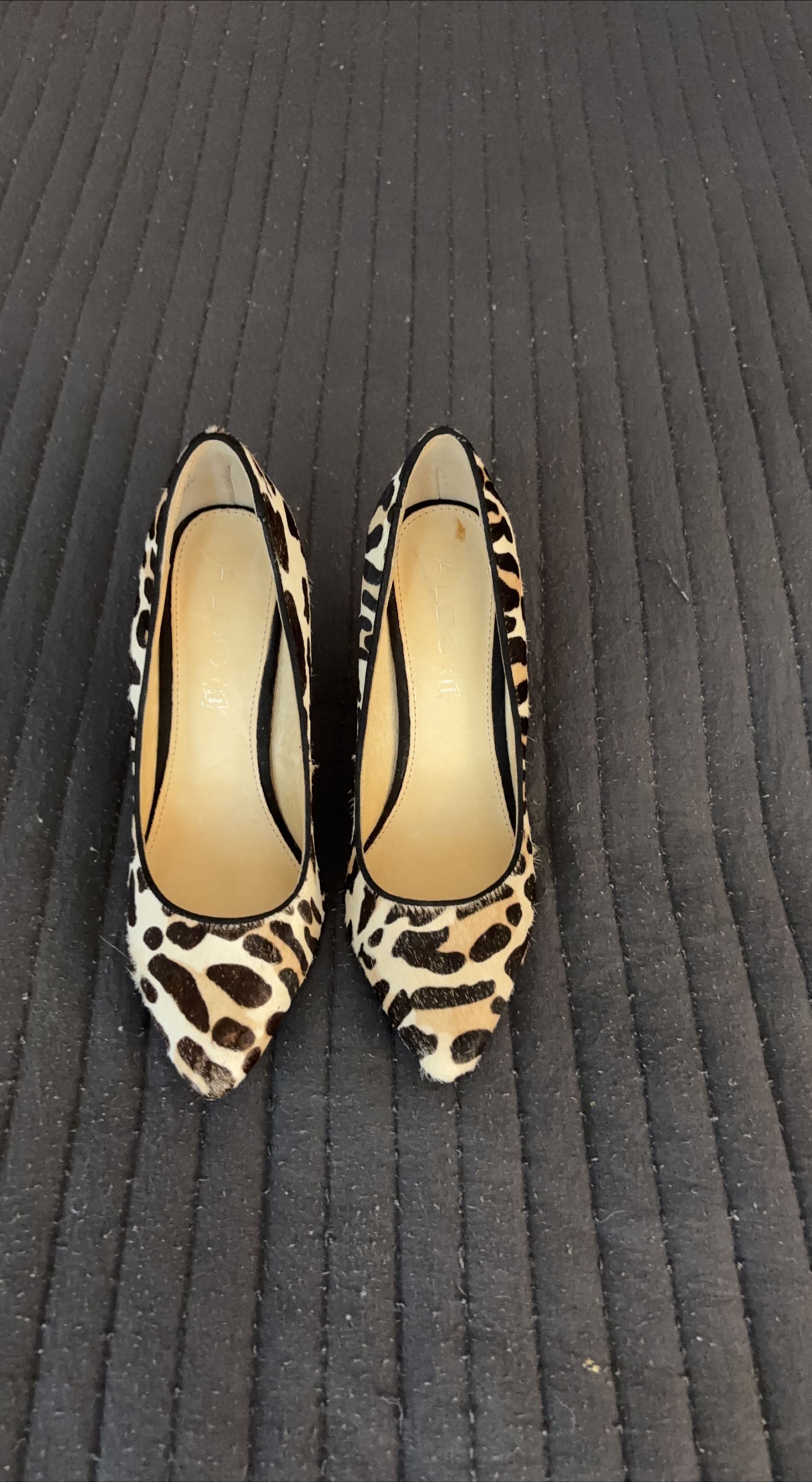 Aldo - Leopard Print Heels, Size 7 thumbnail