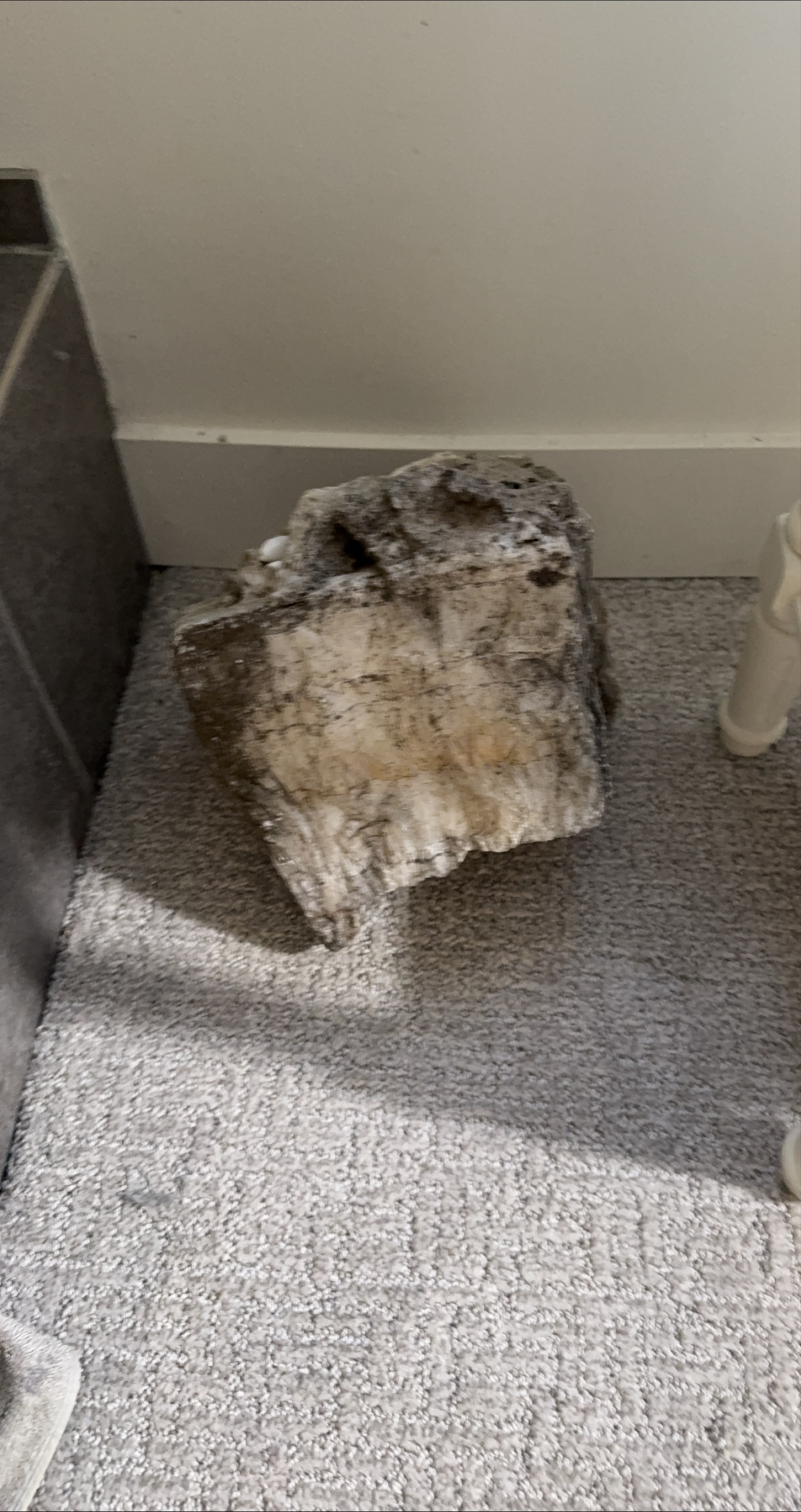 Decorative Rock thumbnail