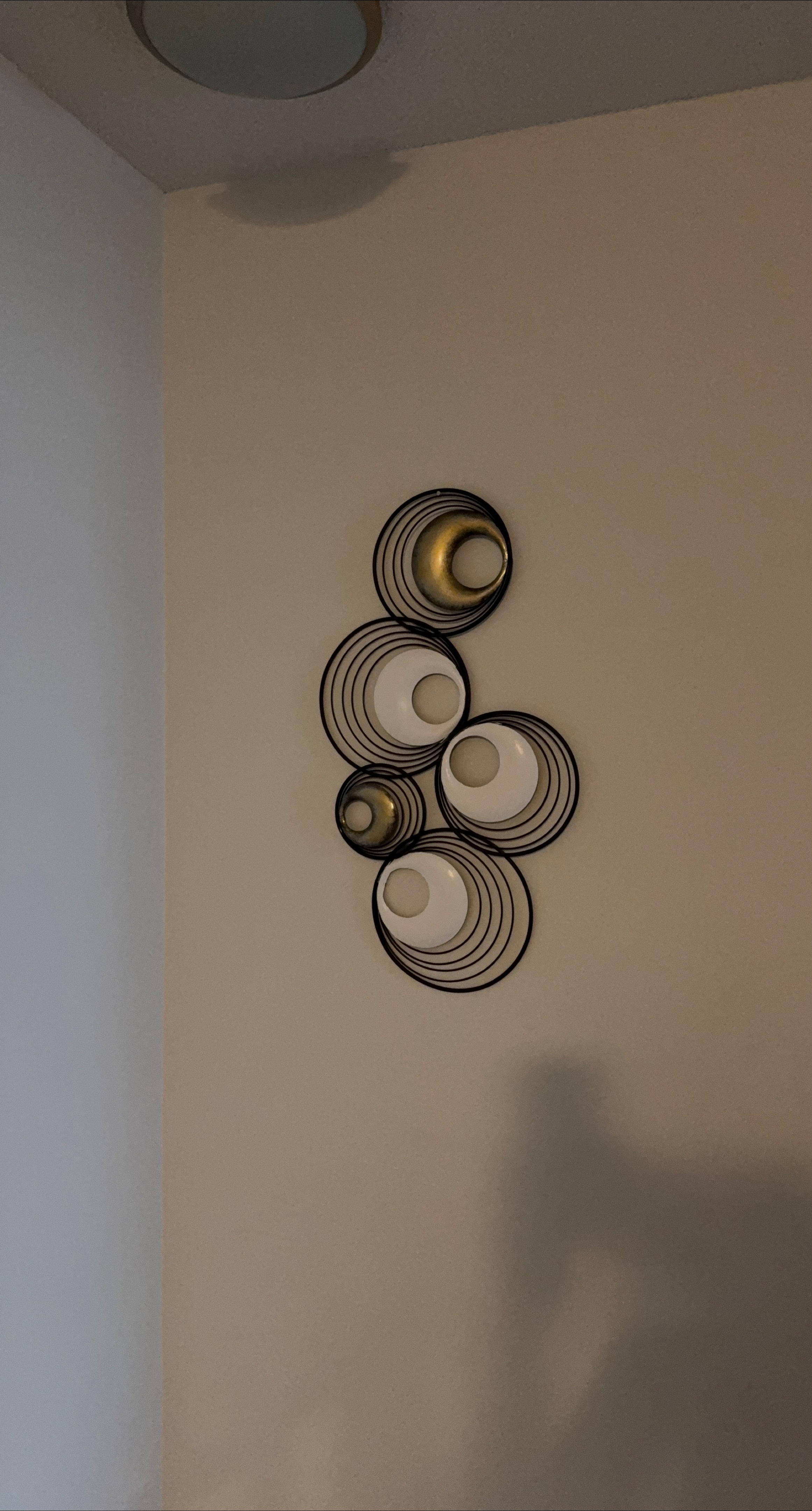 Modern Metal & Acrylic Wall Decor thumbnail