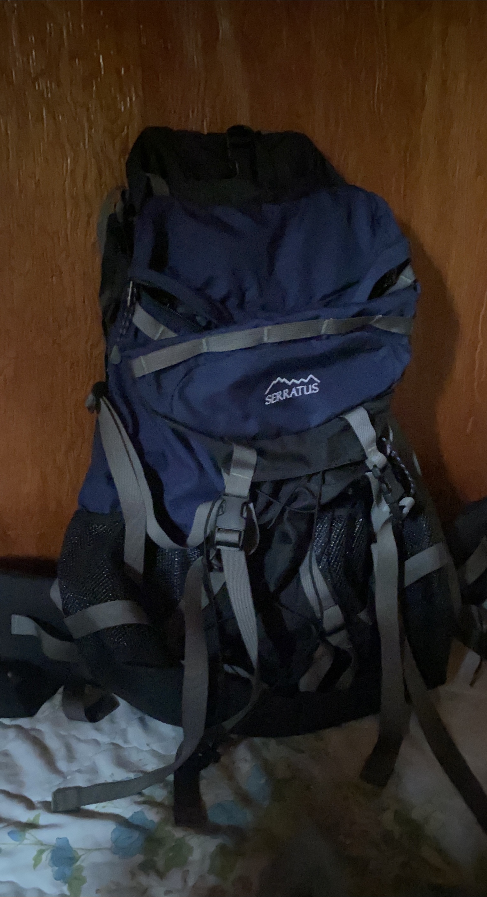 Serratus Backpack - Blue thumbnail