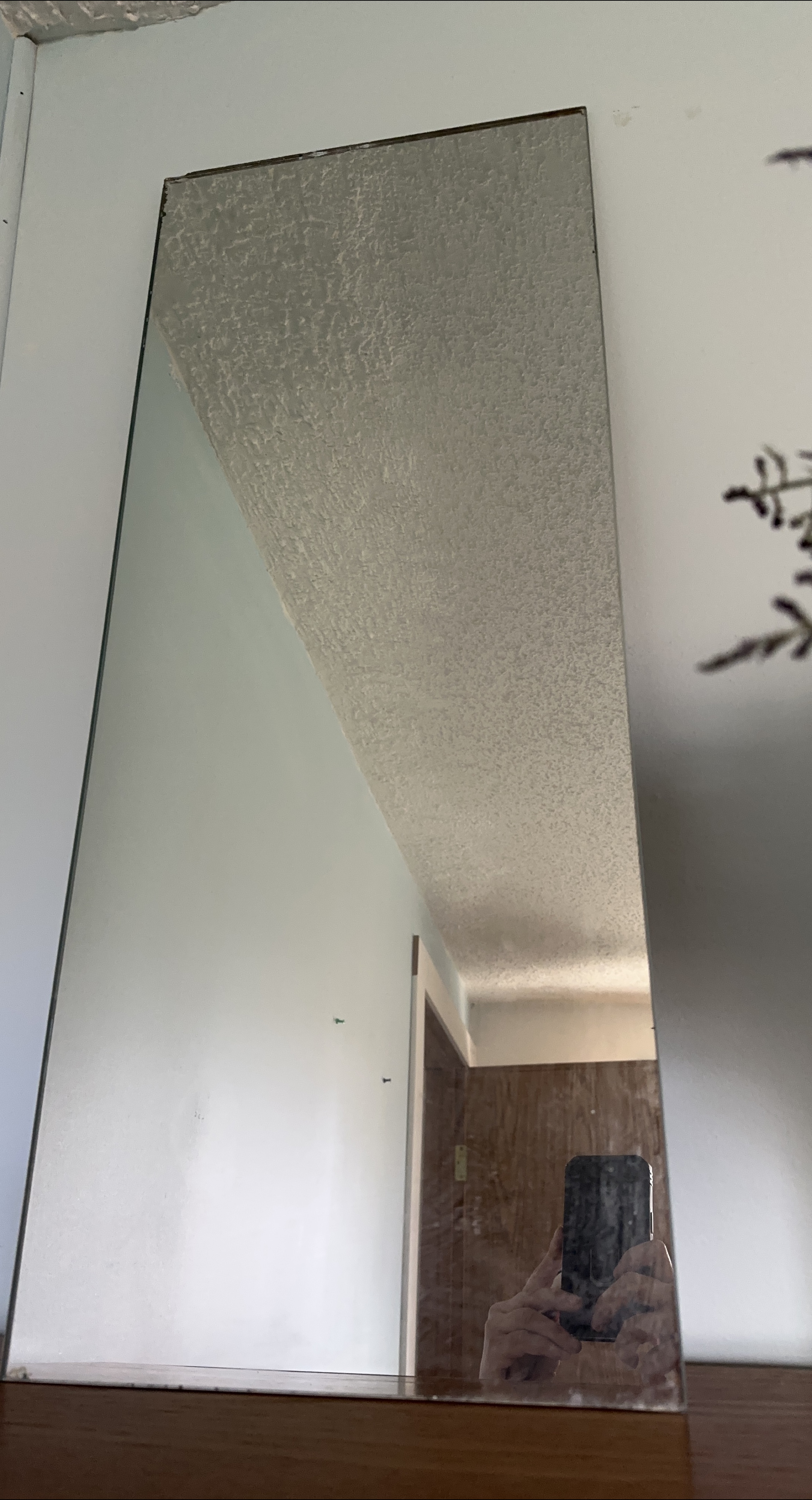 Wall Mirror thumbnail