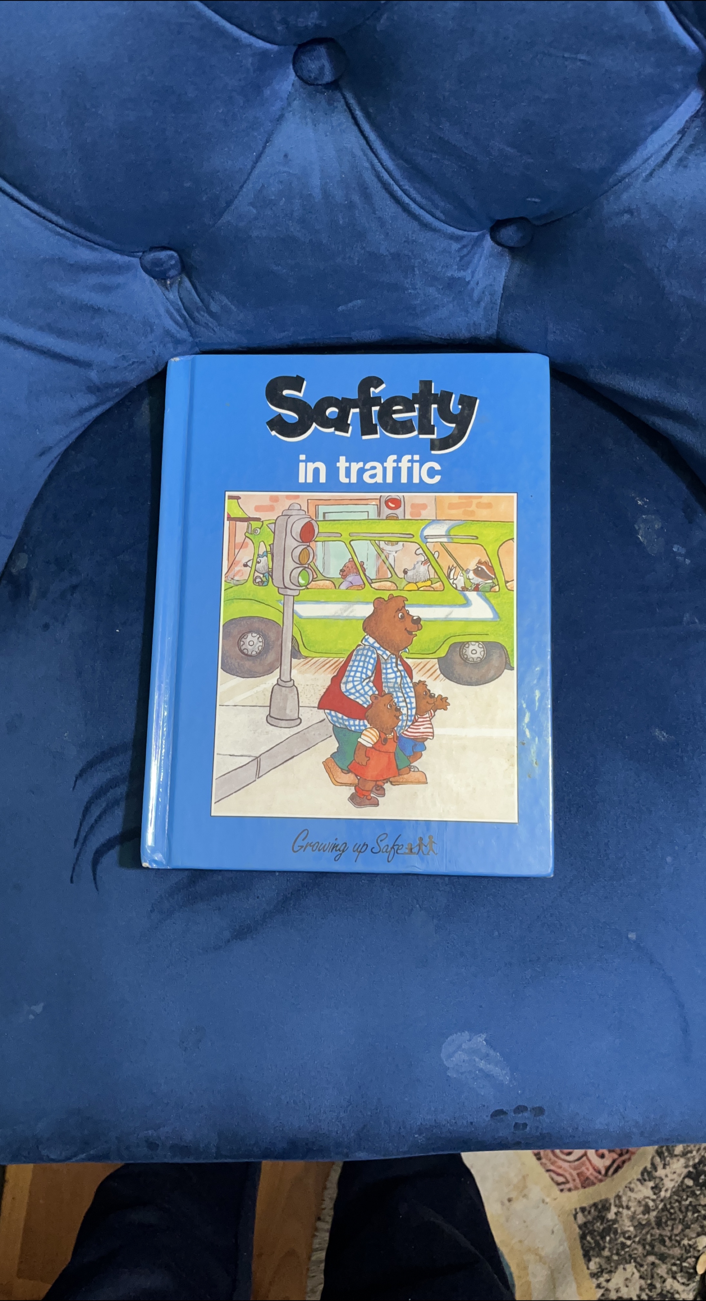 Safety in Traffic - Growing up Safe book thumbnail