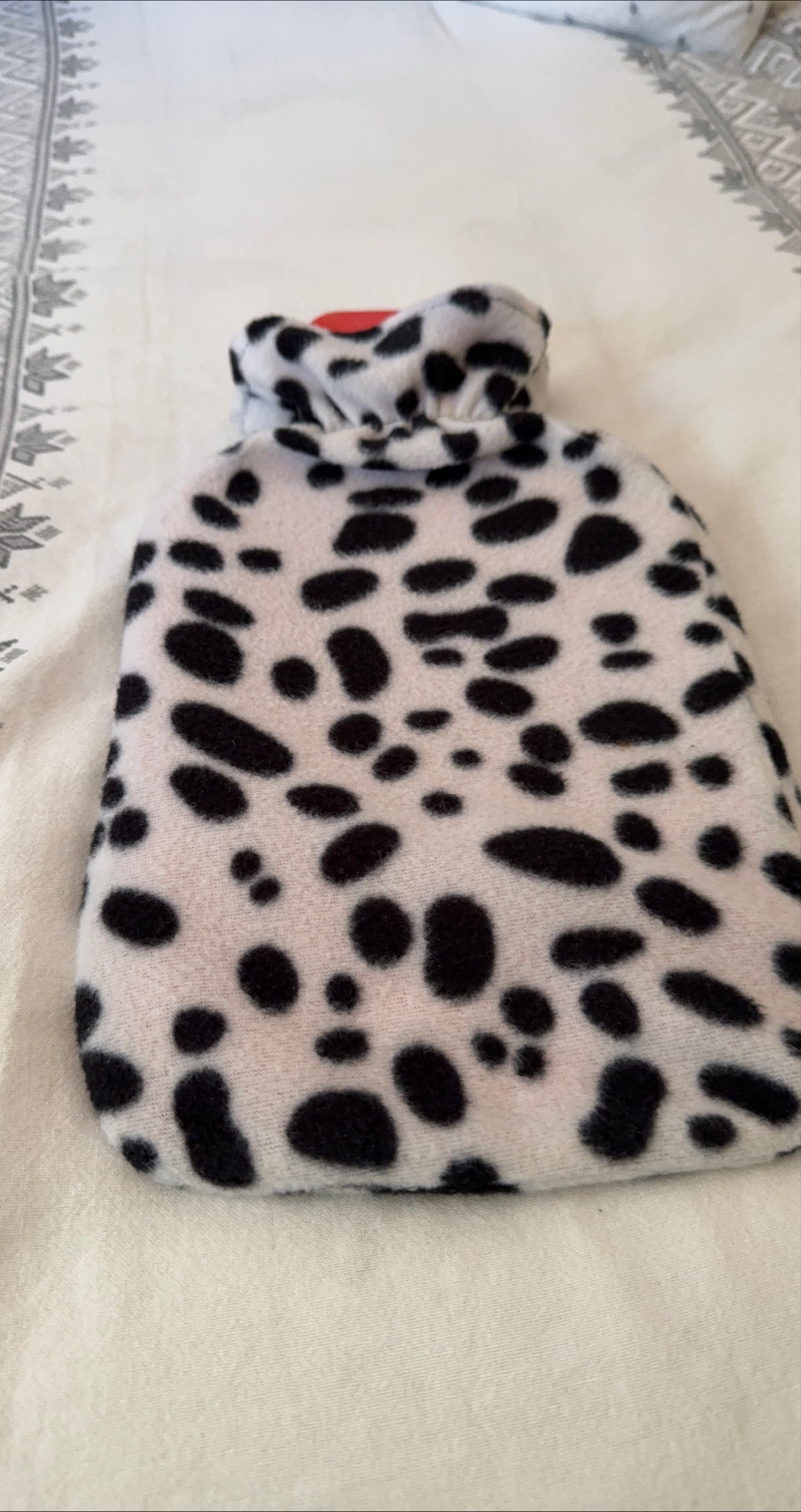 Dalmatian Print Hot Water Bottle thumbnail