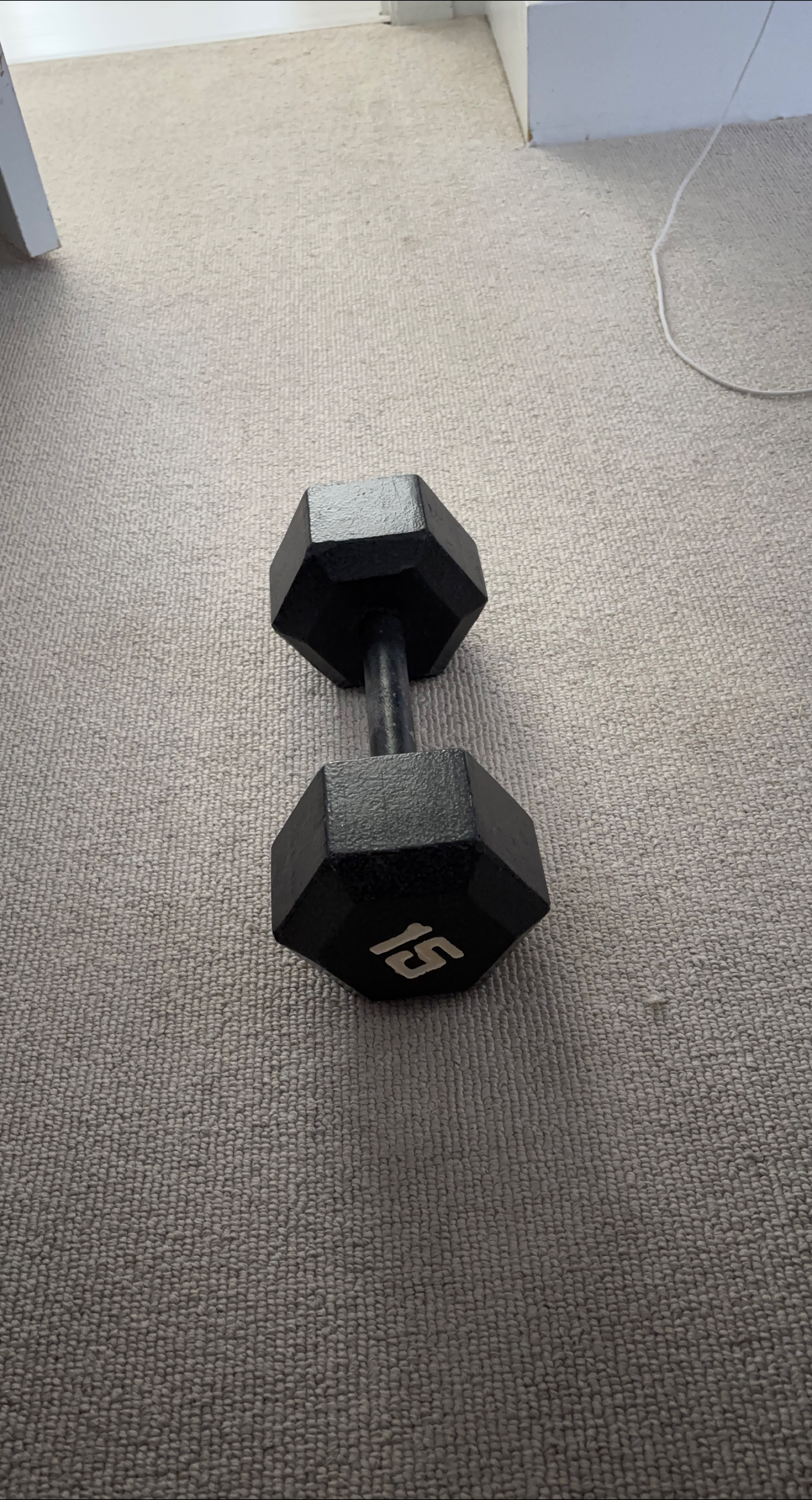 15 lb Dumbbell - Great for Home Workouts thumbnail