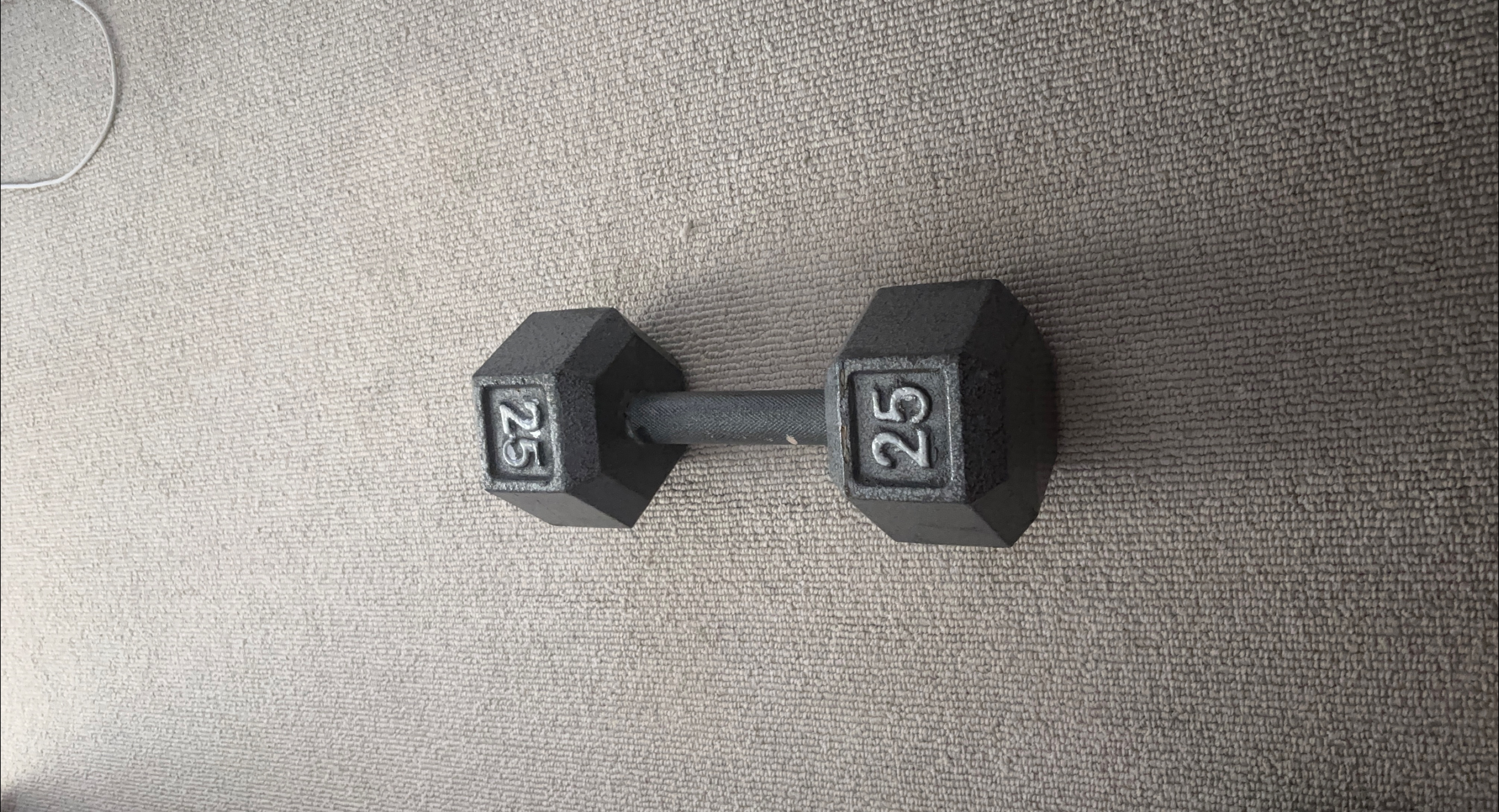 25 lb Dumbbell thumbnail