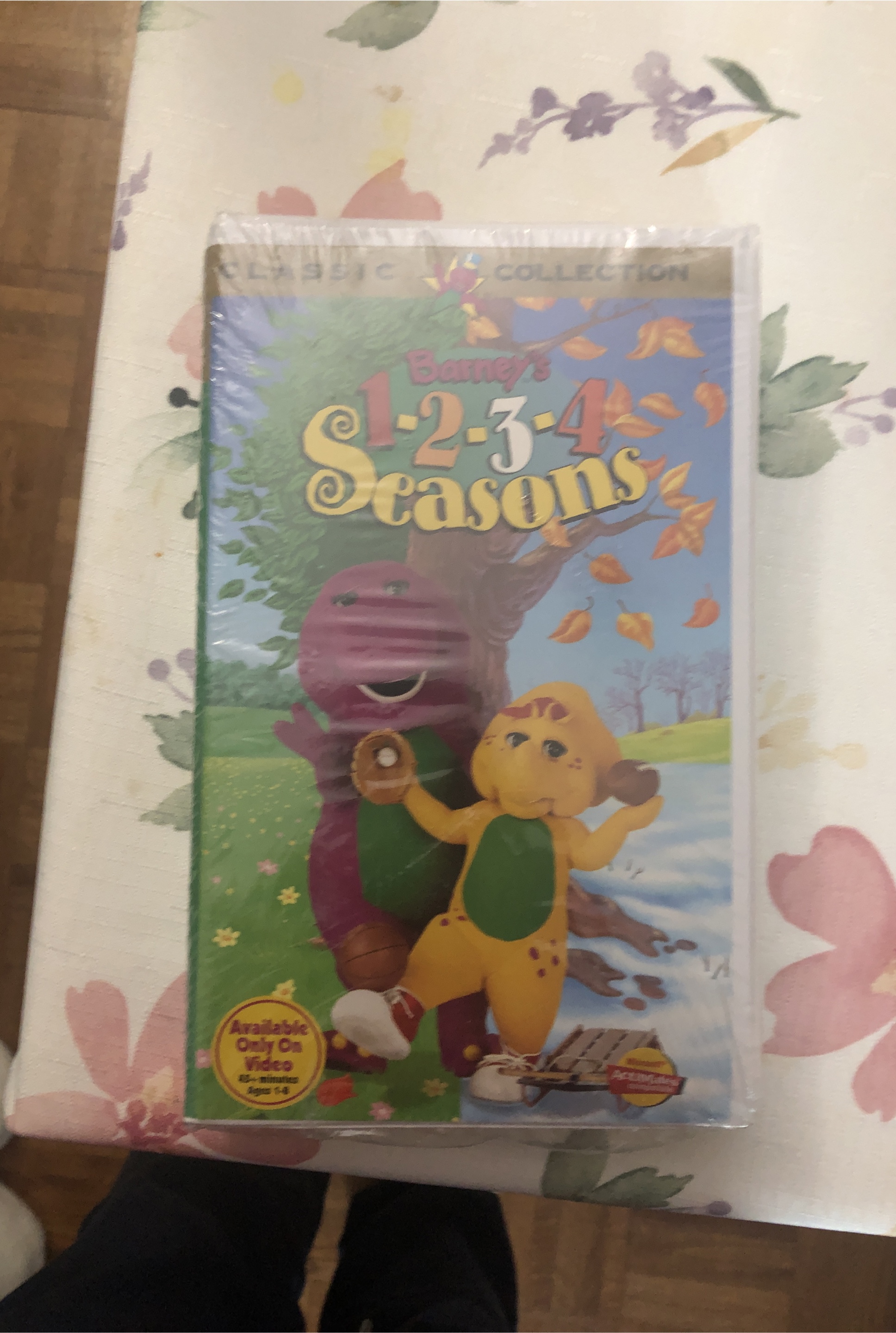 Barney's 1-2-3-4 Seasons Classic Collection VHS Tape