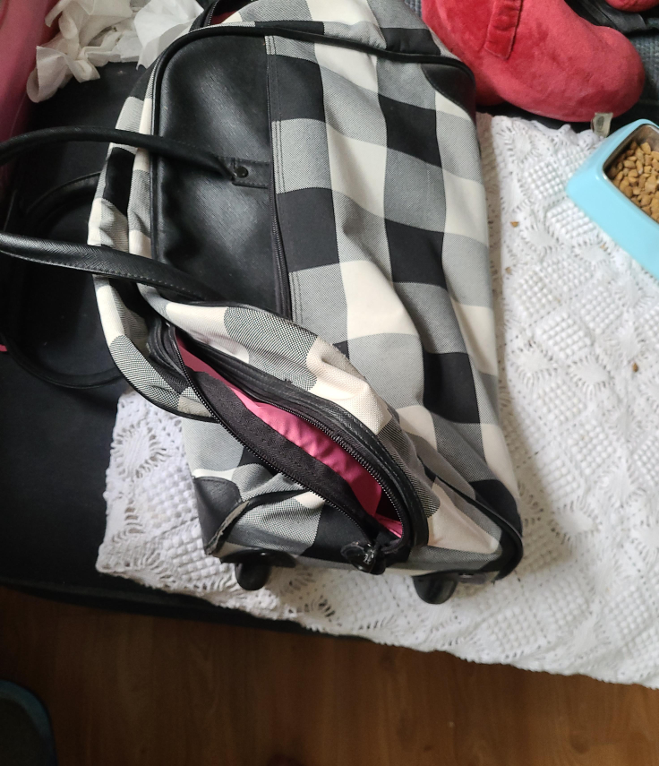 Checkered Rolling Suitcase thumbnail
