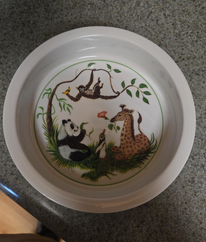 Animal Print Kids Bowl thumbnail