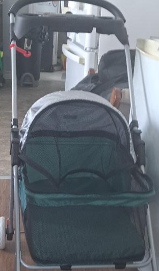 Pet Stroller