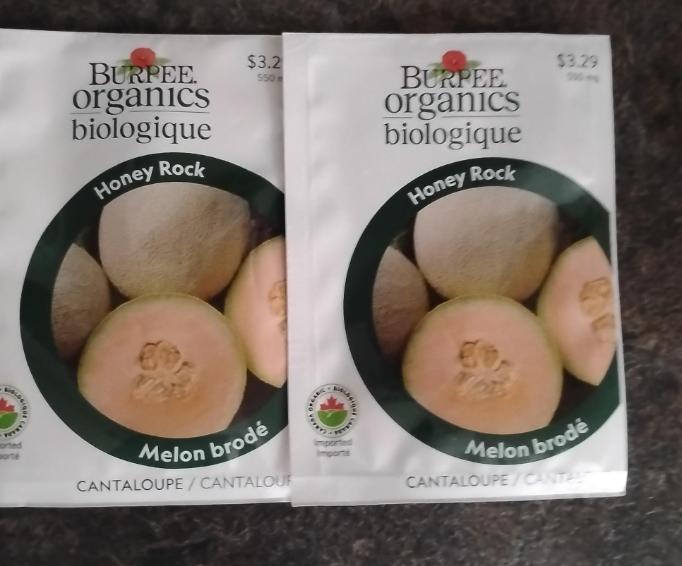 Burpee Organics Honey Rock Melon Seeds thumbnail