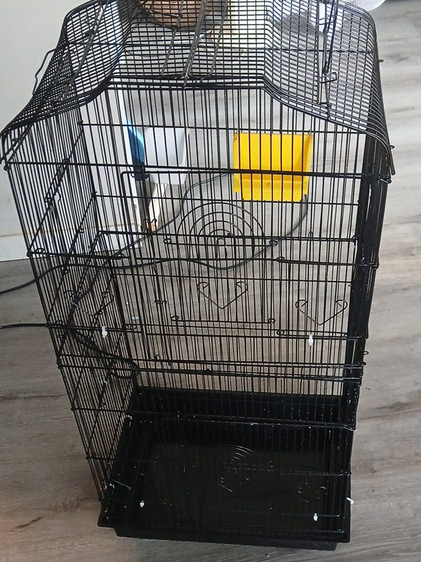 Black Bird Cage thumbnail