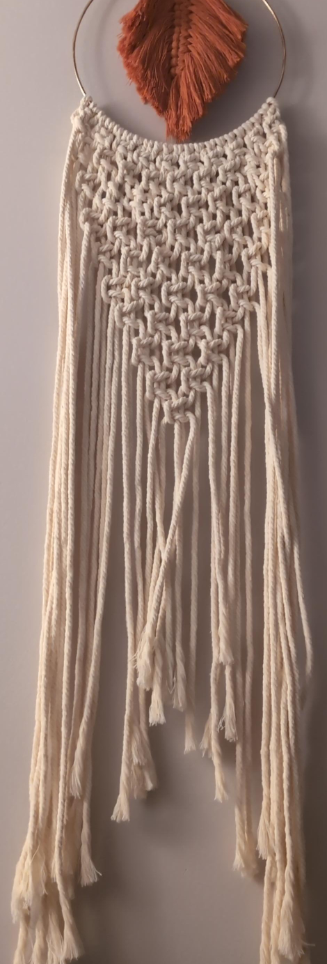 Macrame Wall Hanging with Orange Accent 🥕 thumbnail
