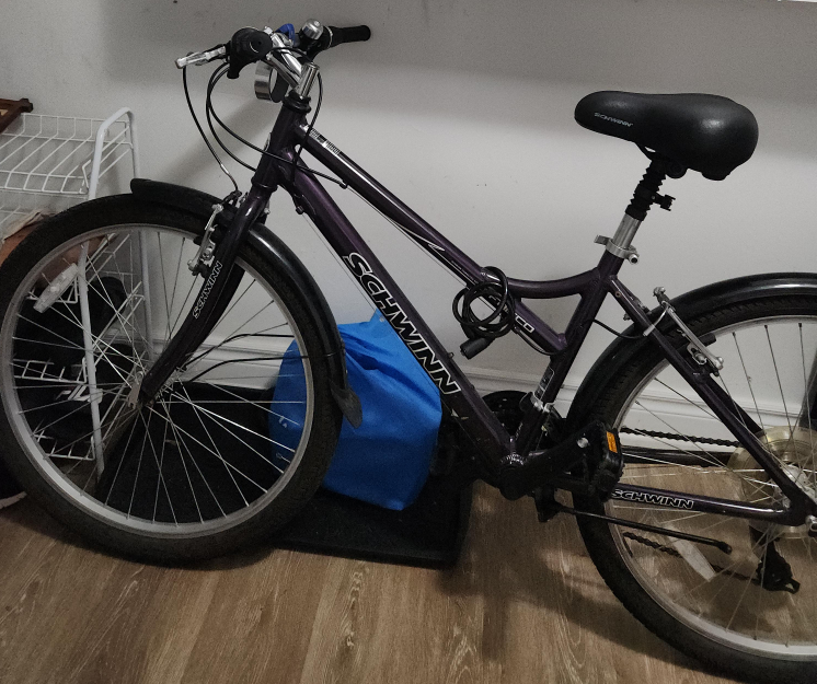 Schwinn Women's Cruiser Bike