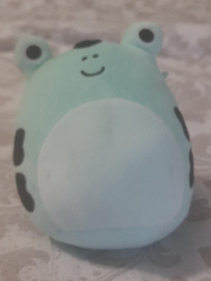 Squishmallows Frog Plush Toy thumbnail