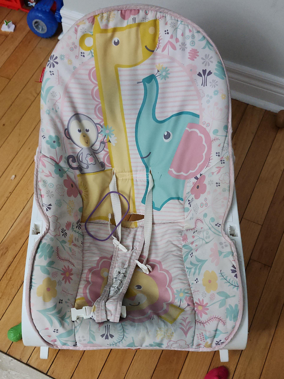 Fisher-Price Baby Bouncer thumbnail