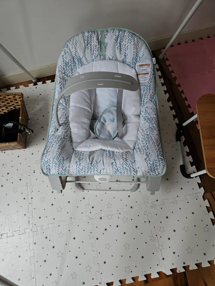 Infantino Baby Bouncer
