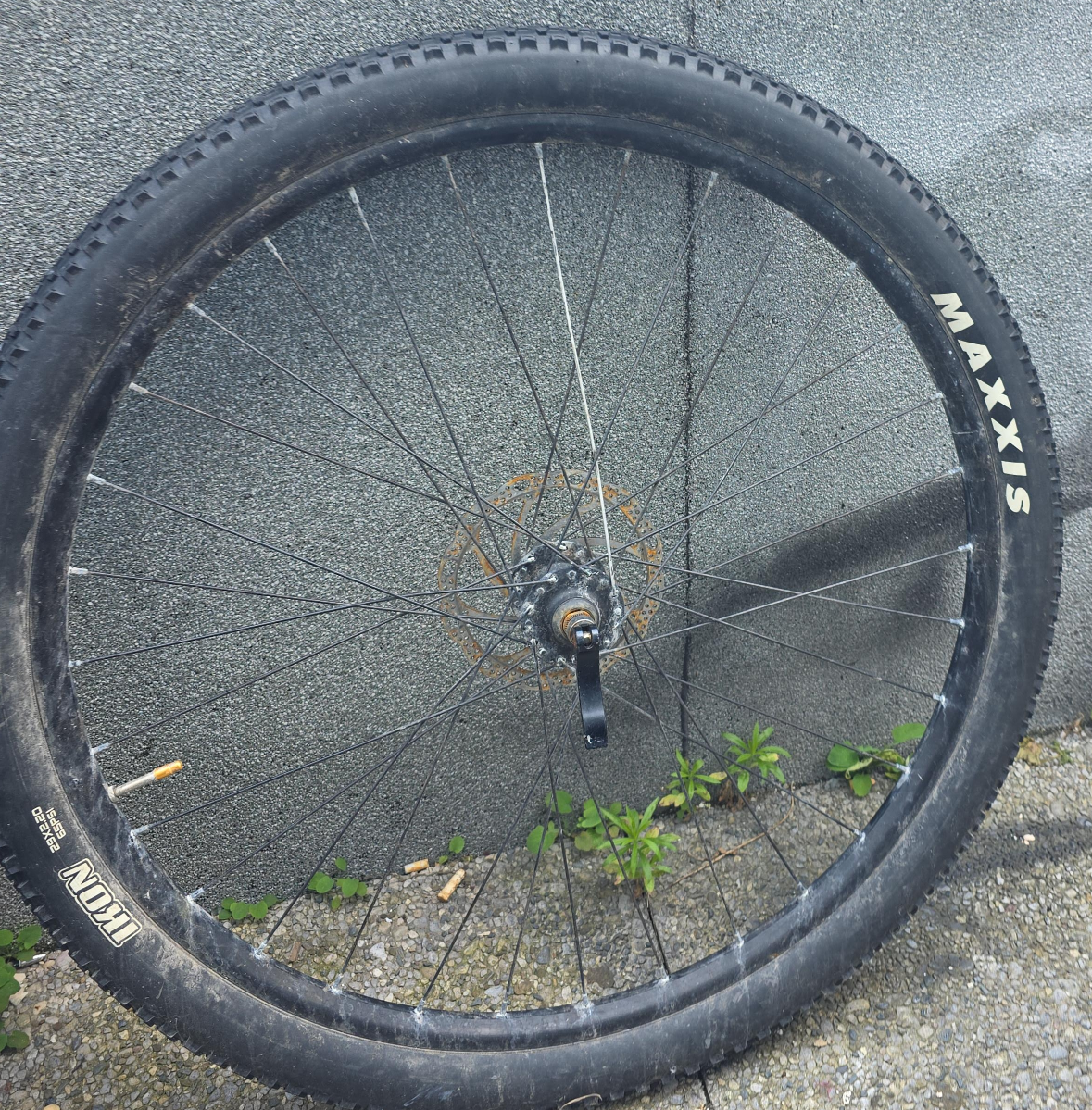 Maxxis Ikon 29x2.20 Tire Wheel thumbnail