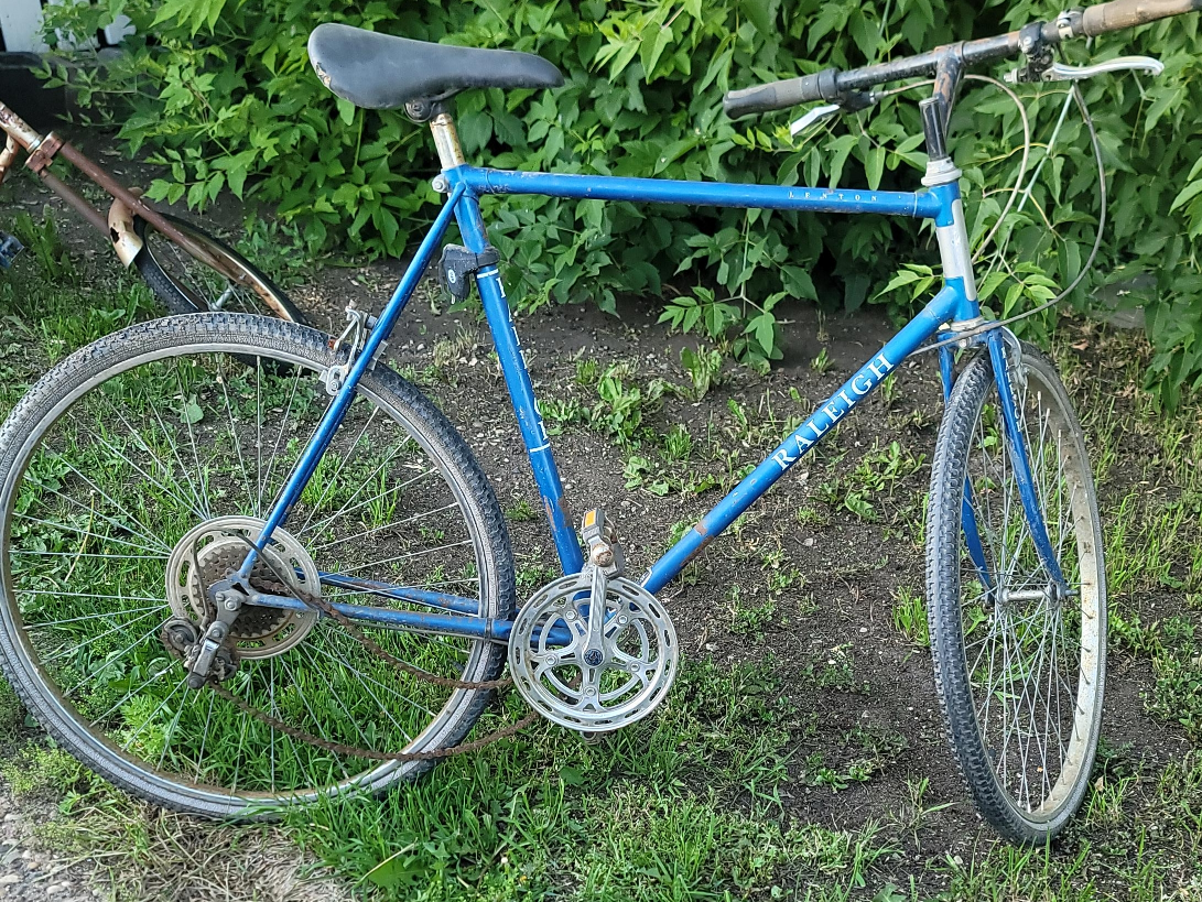 Raleigh Bicycle - Blue thumbnail
