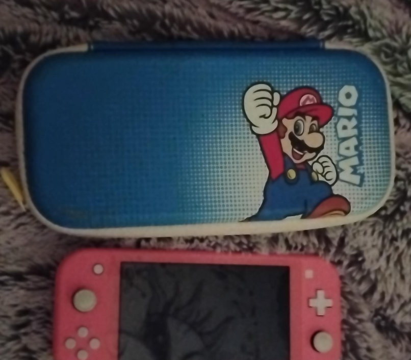Nintendo Switch Lite and Case thumbnail