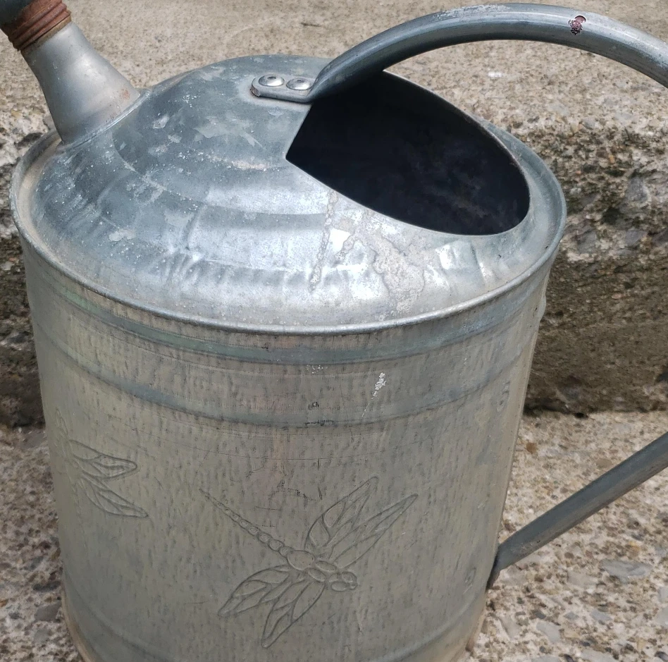 Galvanized Metal Watering Can planter