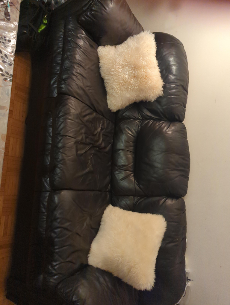 Black Leather Sofa with Two Cushions thumbnail