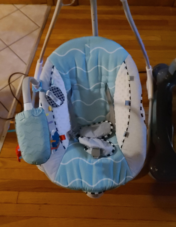 Baby Einstein Swing