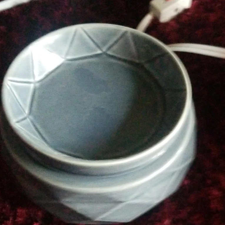 Grey Wax Warmer💚🥕 thumbnail