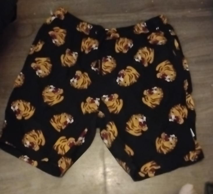 Tiger Print Shorts thumbnail