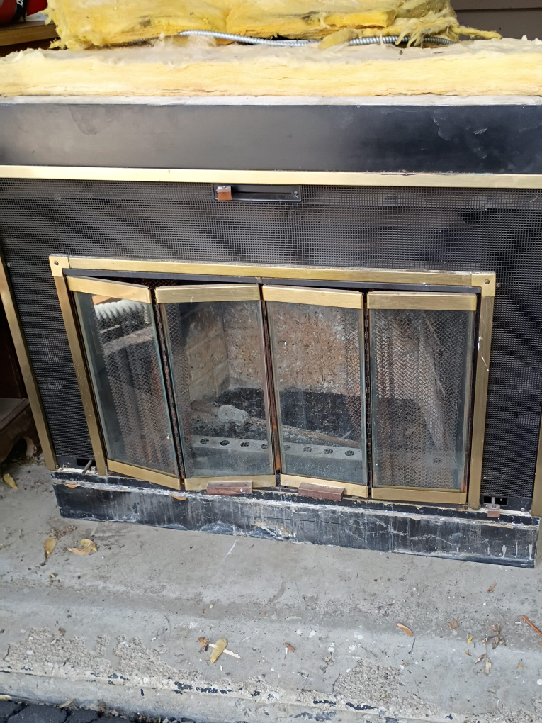 Fireplace with glass doors thumbnail