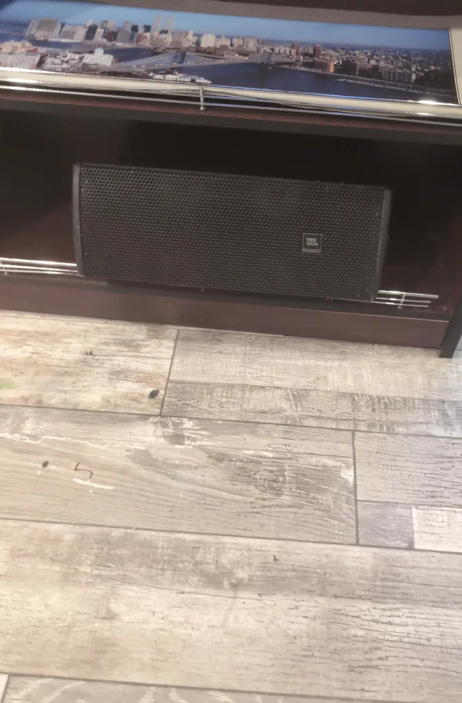 JBL Professional Speaker