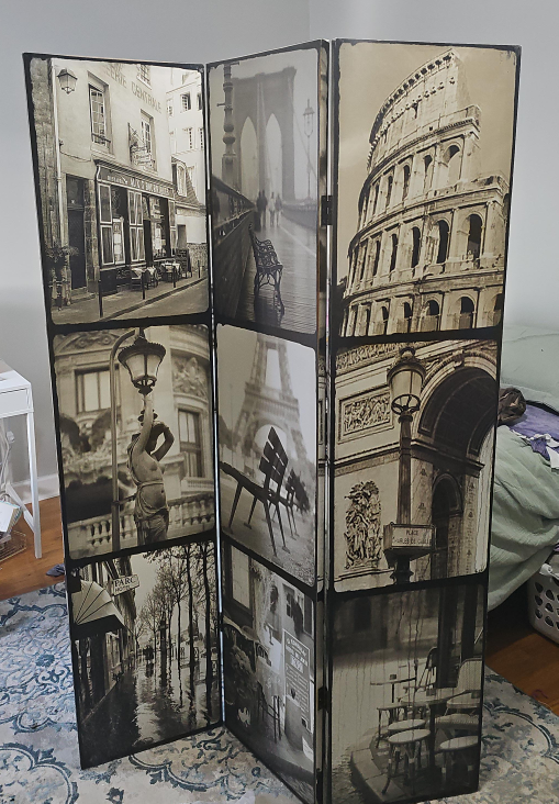 Decorative Room Divider - Black and White Paris Theme