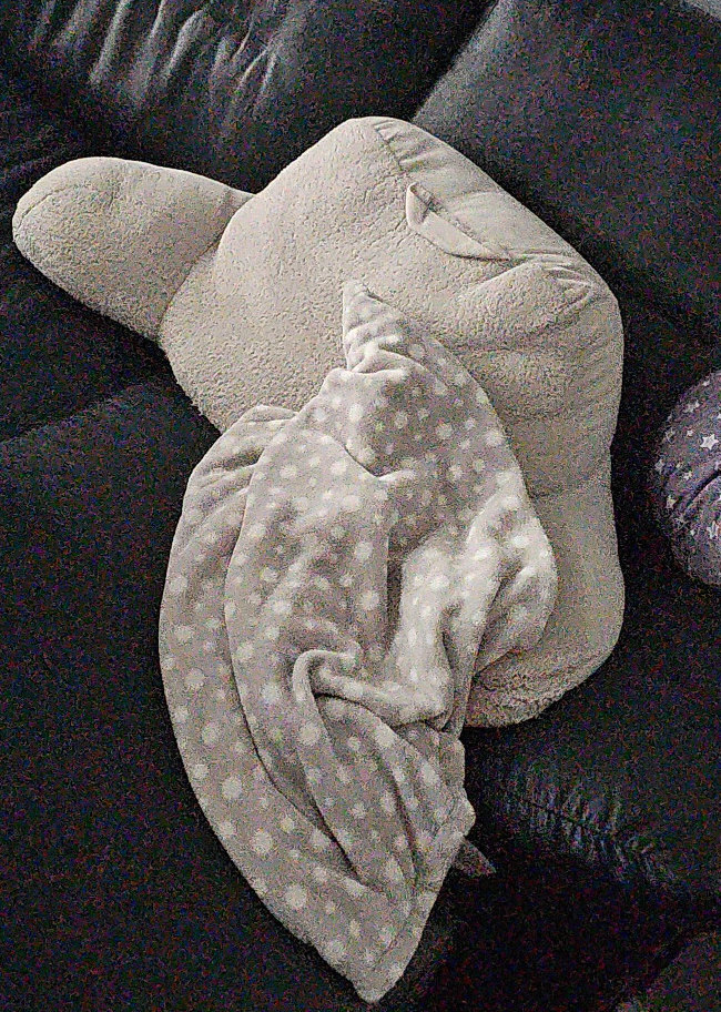Cozy Lounger Pillow & Blanket 💚 thumbnail