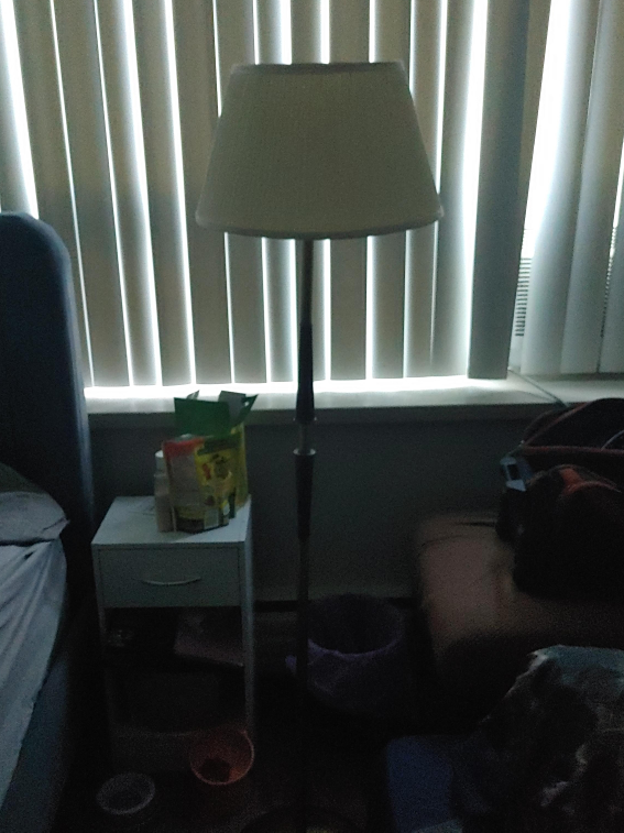 Floor Lamp with Shade thumbnail