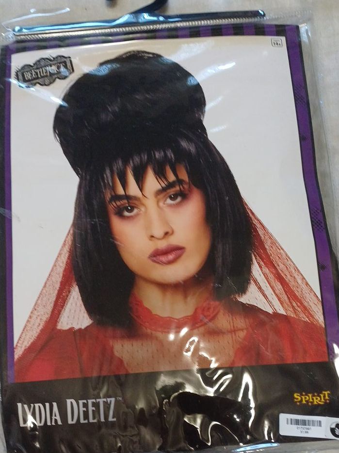 Lydia Deetz Costume - Beetlejuice thumbnail